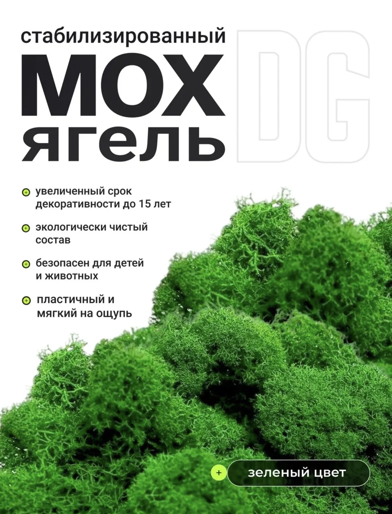 Мох стабилизированный ягель - изображение 1