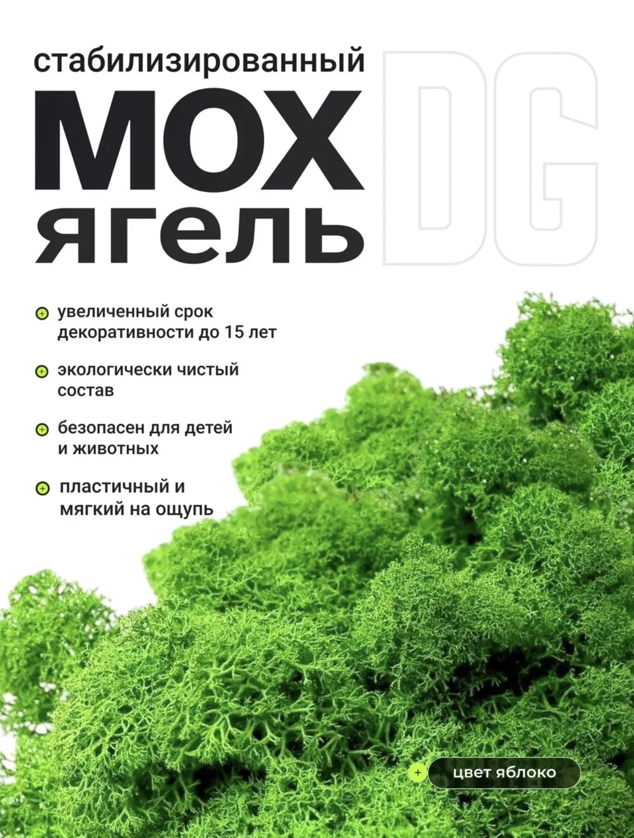 Мох стабилизированный ягель - миниатюра 3