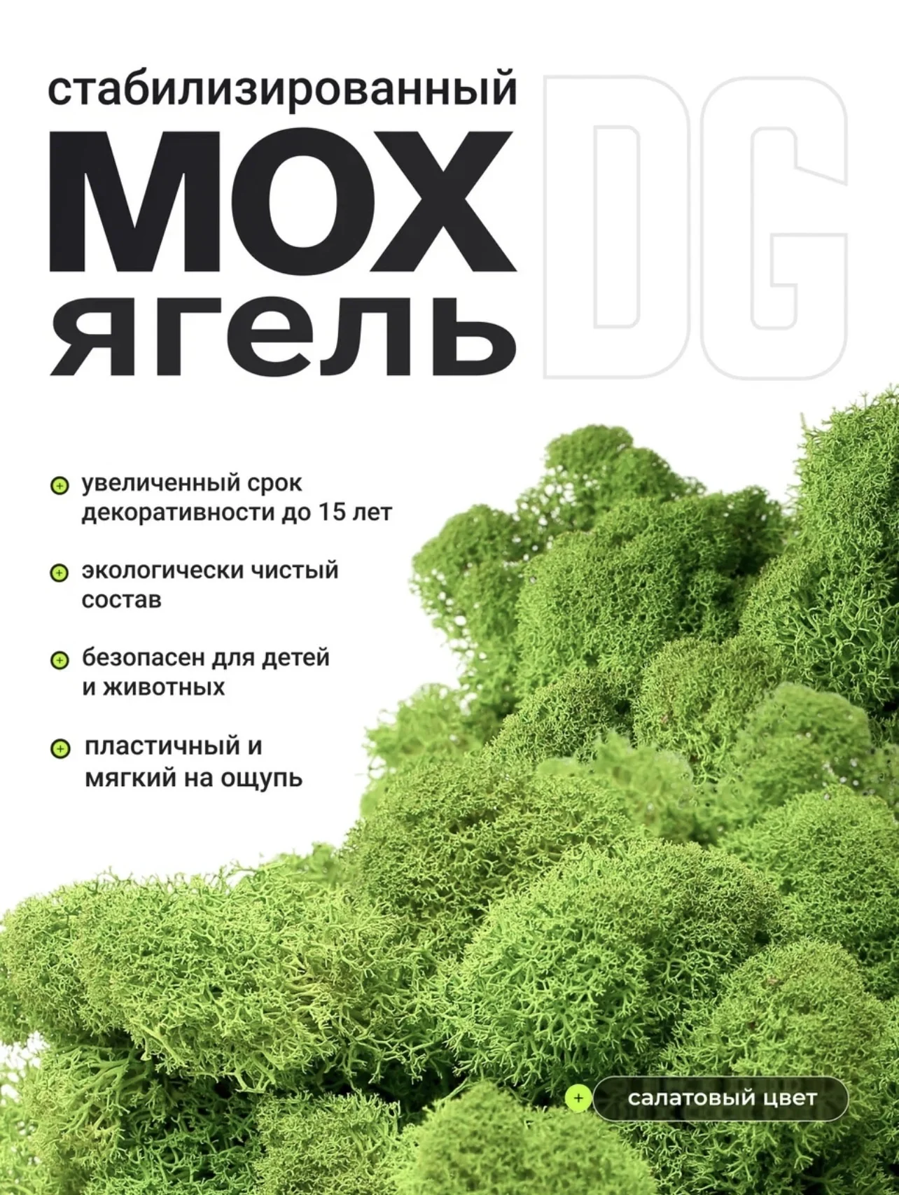 Мох стабилизированный ягель - миниатюра 5