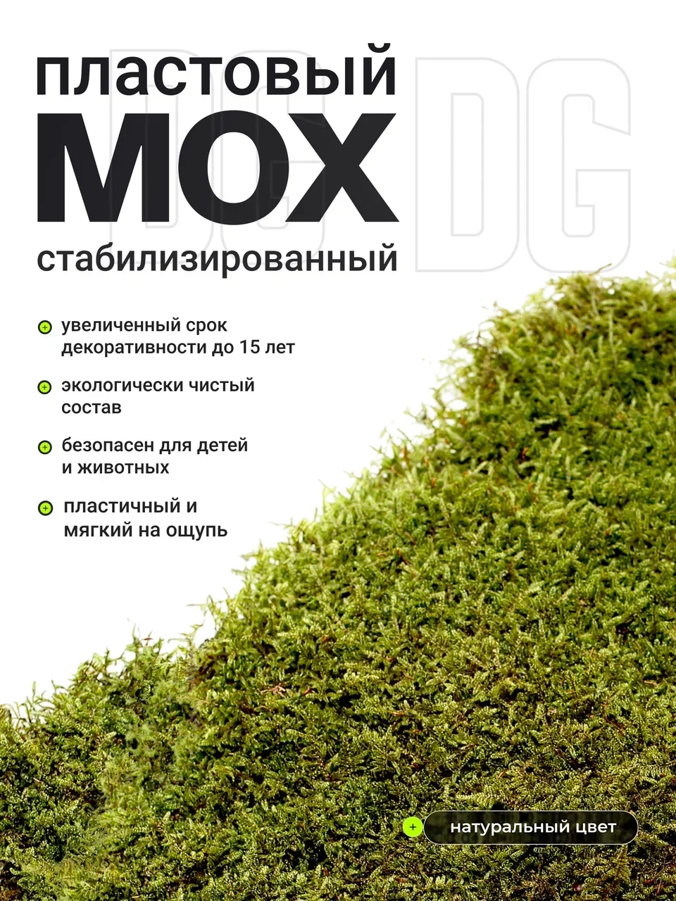 Мох стабилизированный пластовой - миниатюра 3