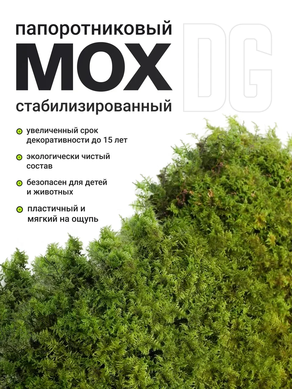 Мох стабилизированный пластовой - миниатюра 5