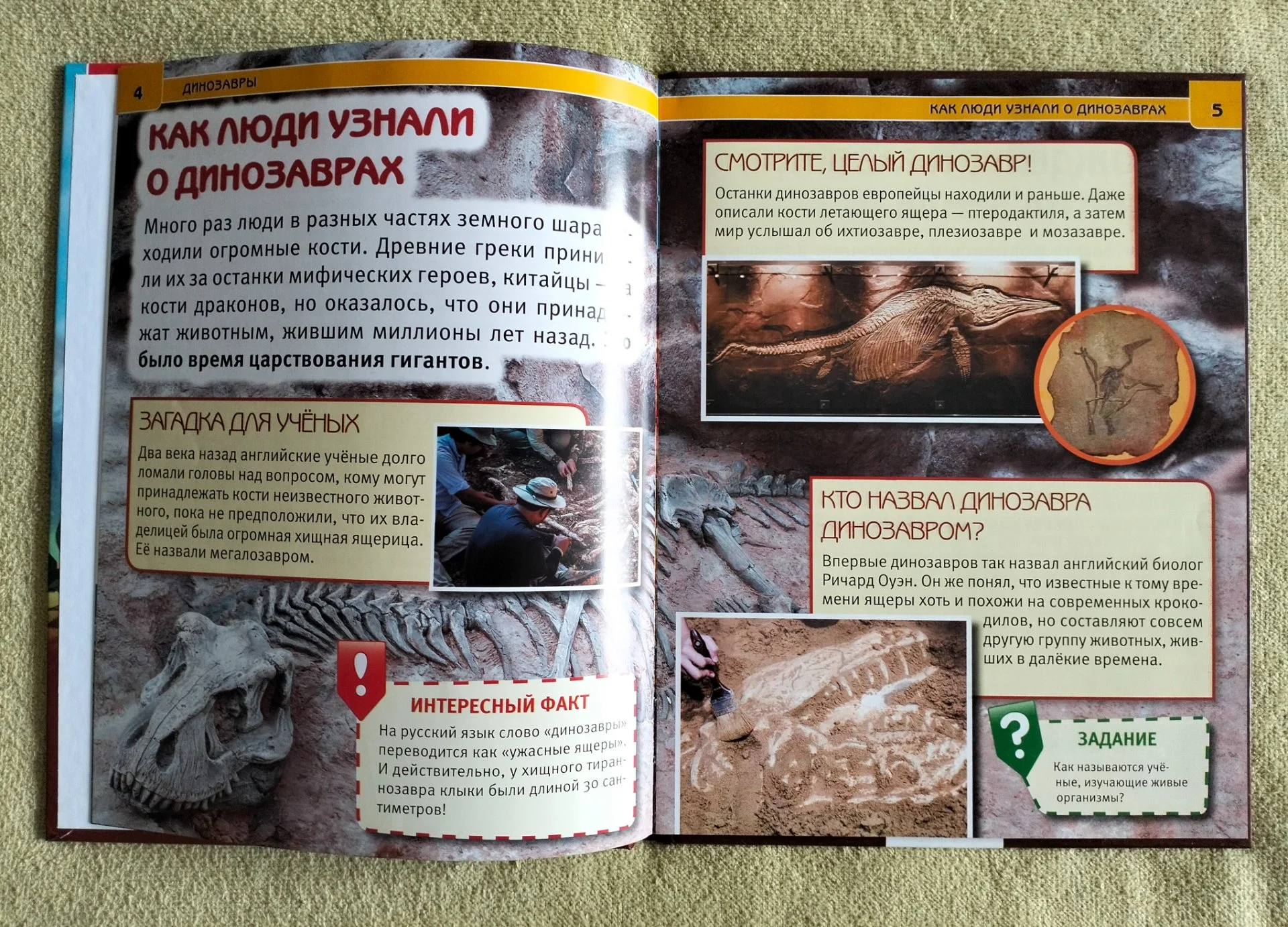 Динозавры энциклопедия с развивающими заданиями - миниатюра 4