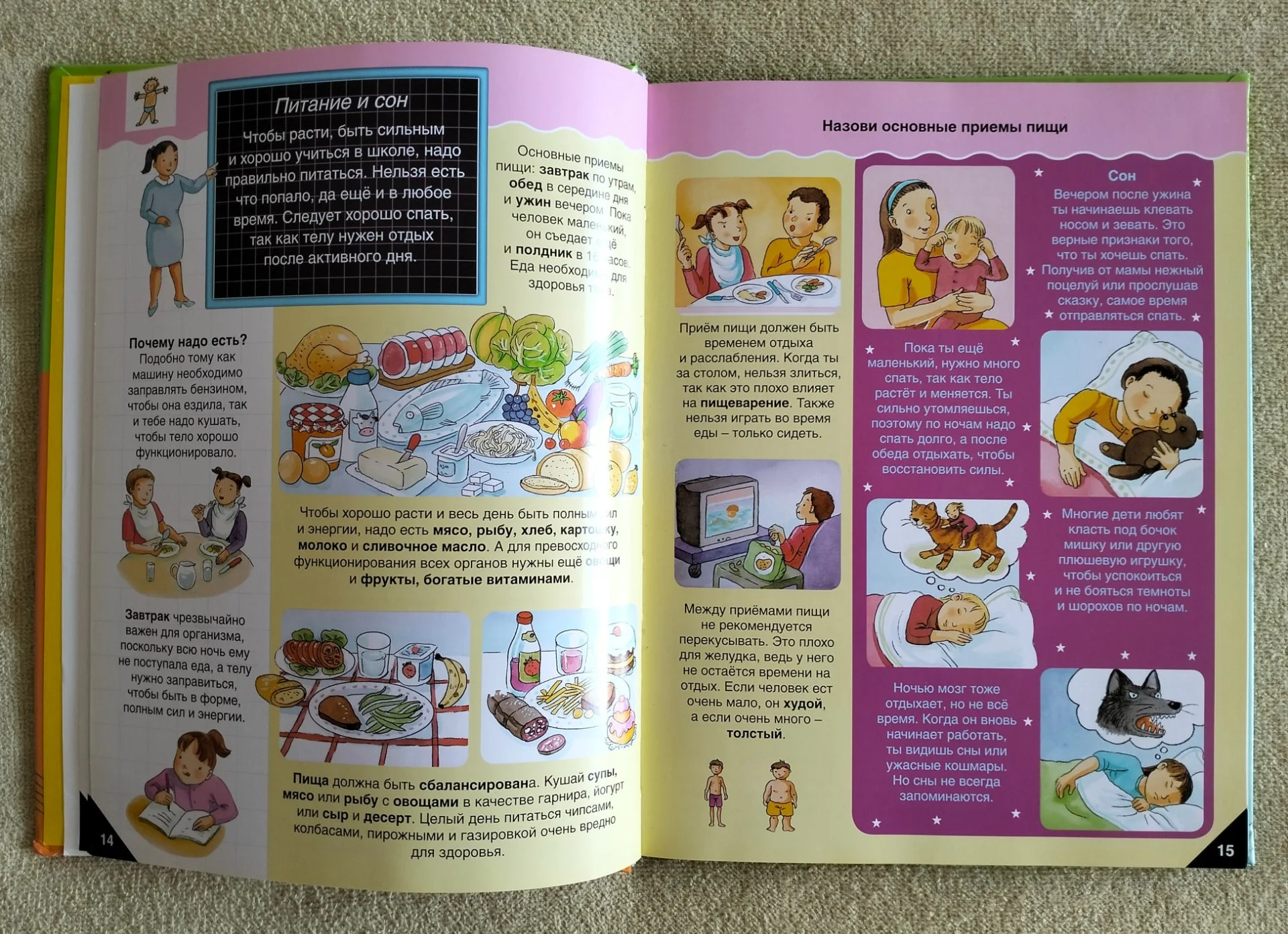 Детская книга Самая первая энциклопедия Росмэн 2009 - миниатюра 4