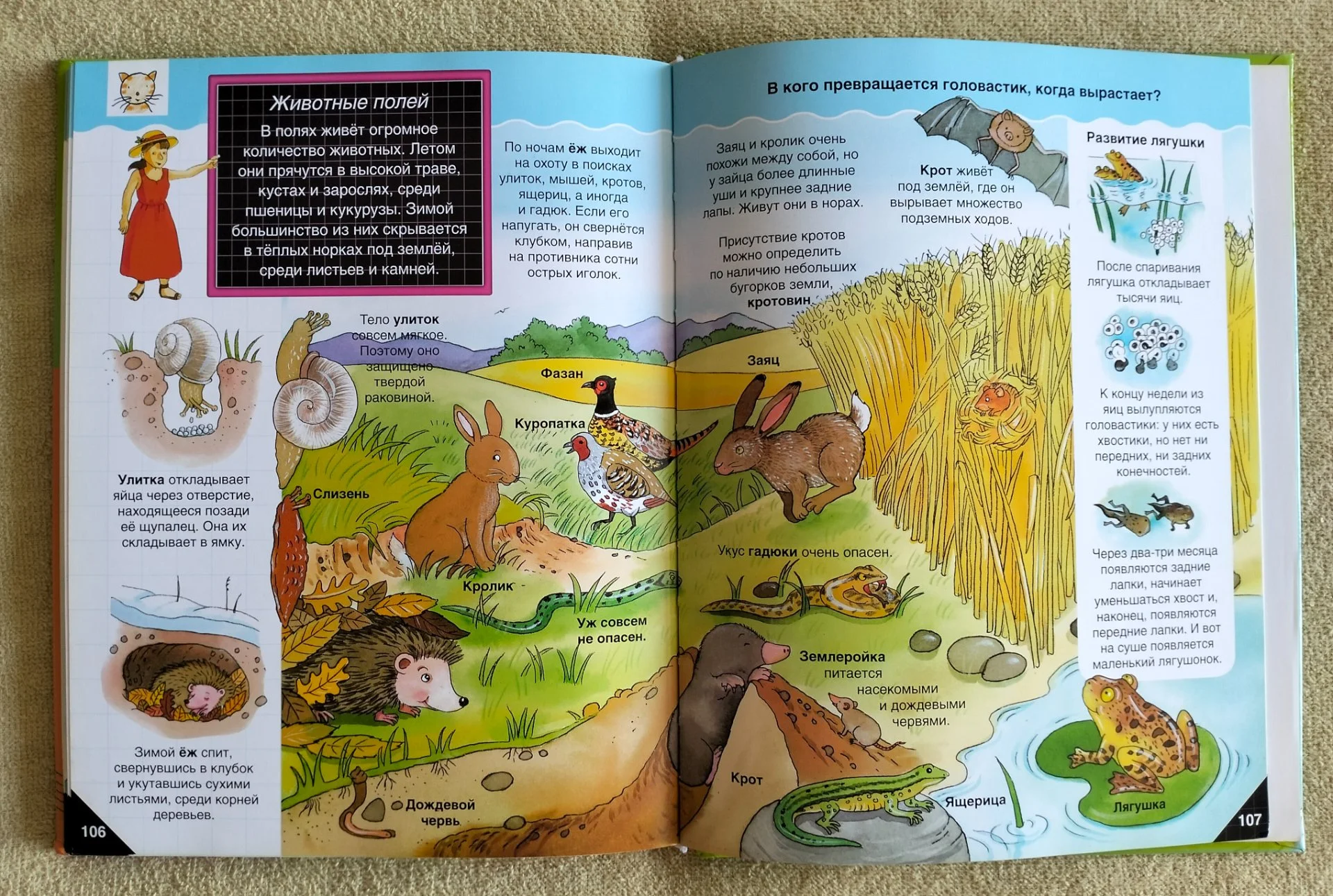 Детская книга Самая первая энциклопедия Росмэн 2009 - миниатюра 10