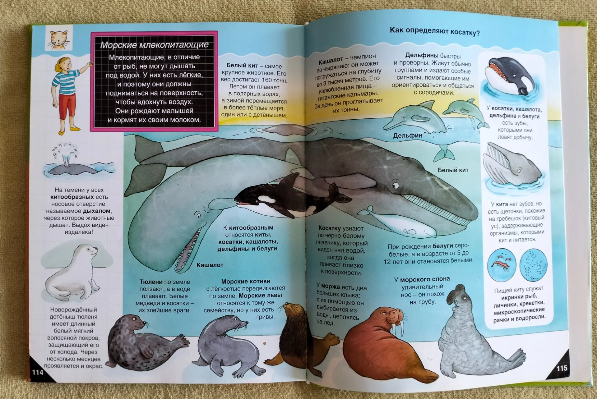 Детская книга Самая первая энциклопедия Росмэн 2009 - миниатюра 11