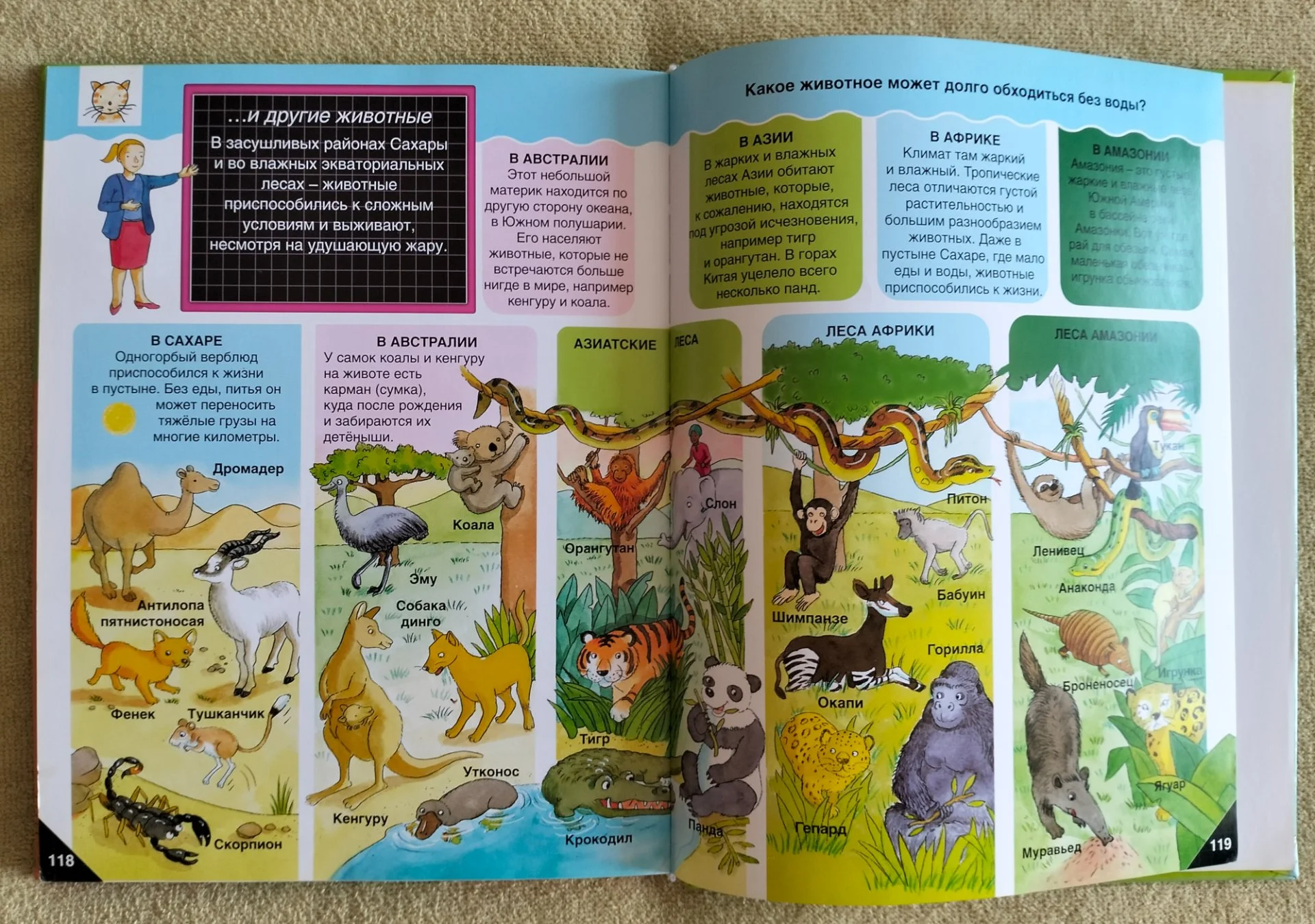 Детская книга Самая первая энциклопедия Росмэн 2009 - миниатюра 12
