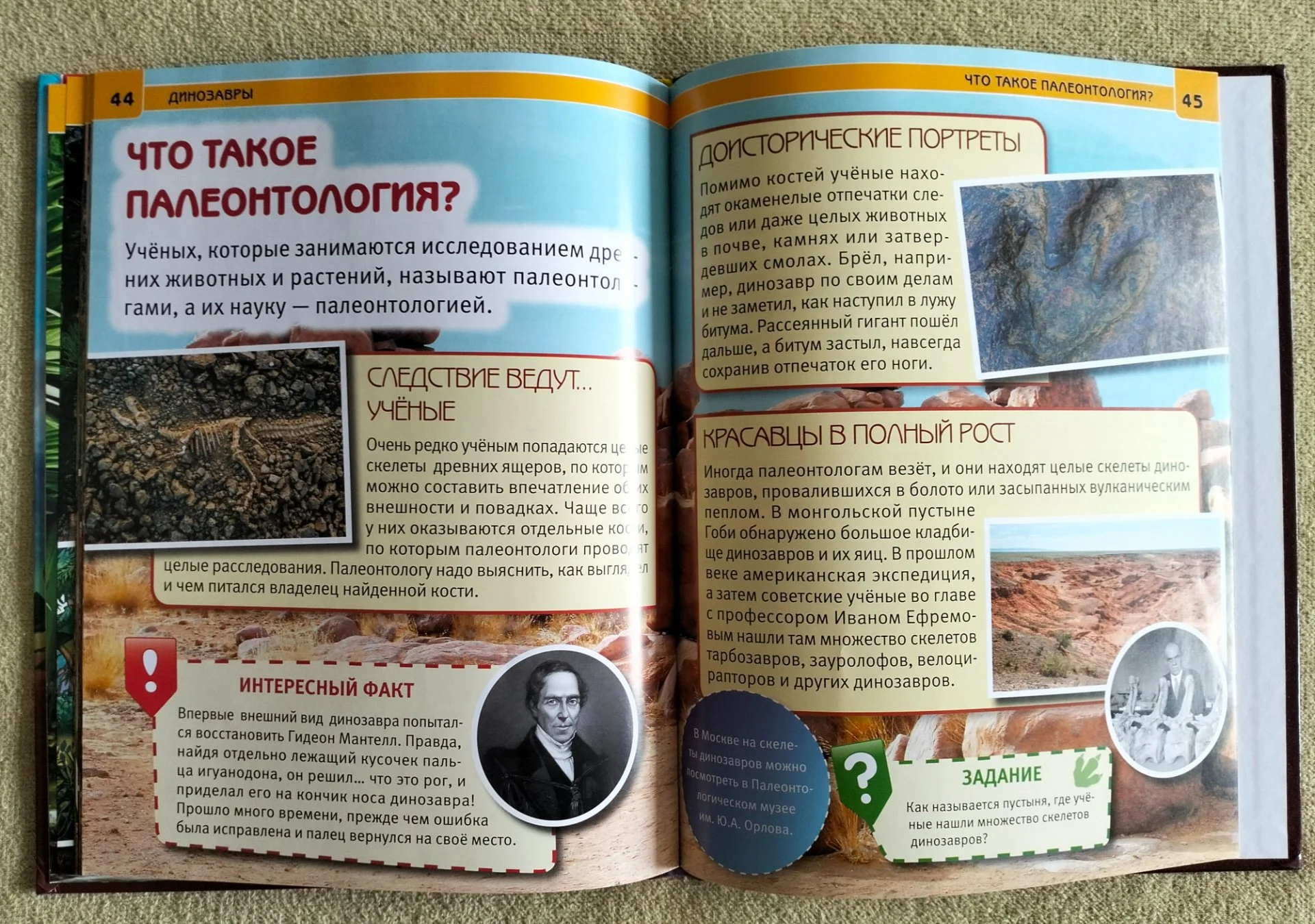 Детская книга Динозавры Энциклопедия с развивающими заданиями - миниатюра 10