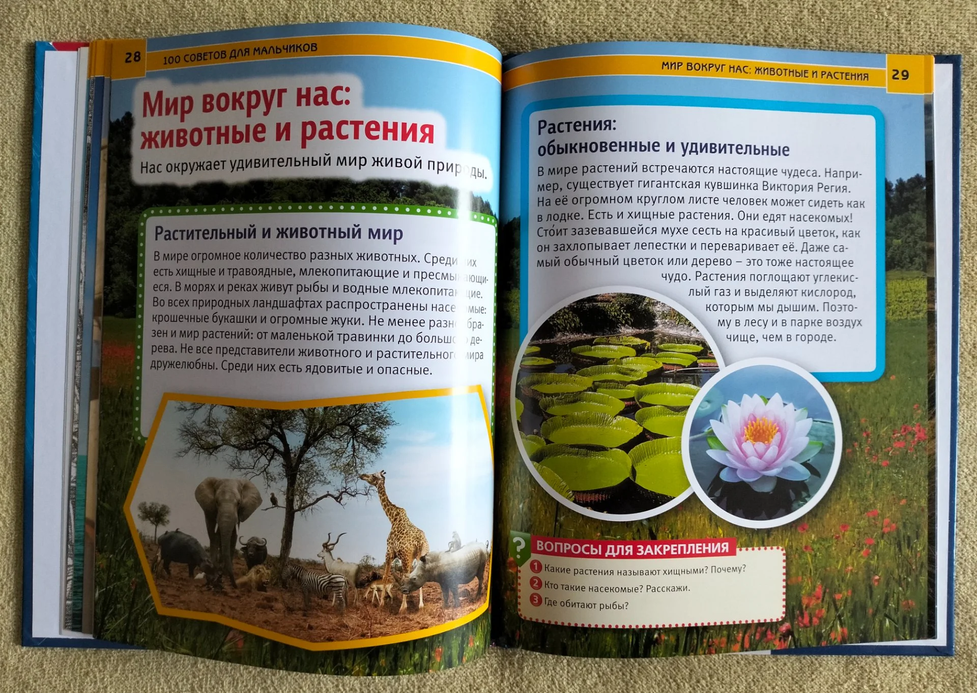 Детская книга 100 советов для мальчиков Энциклопедия с развивающими заданиями - миниатюра 8