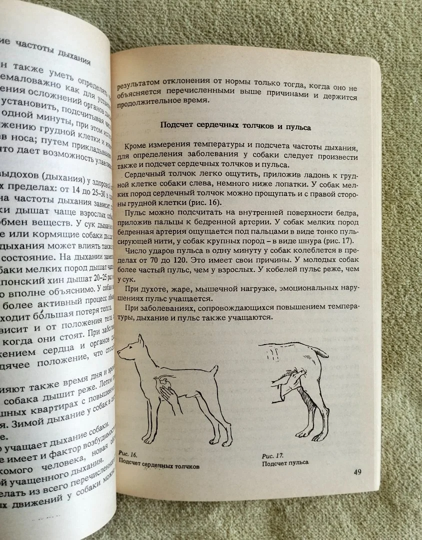 Для любимой собаки Анатолий Баранов - миниатюра 3