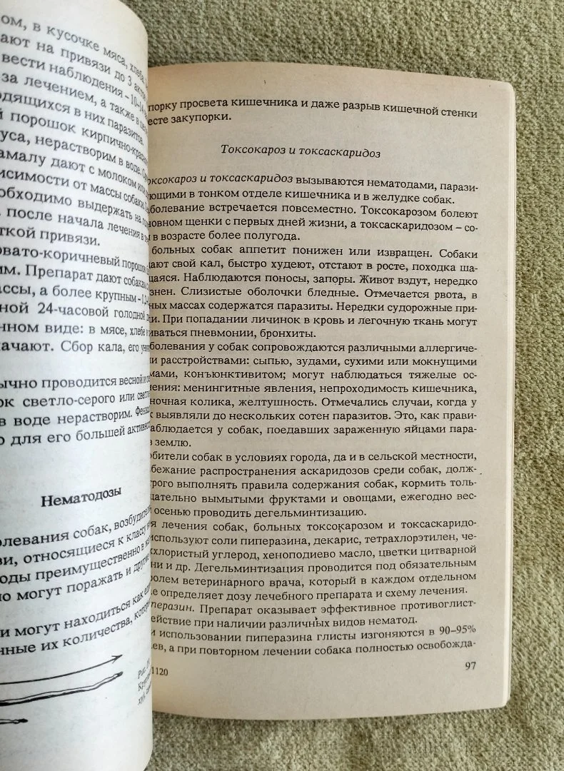 Для любимой собаки Анатолий Баранов - миниатюра 4