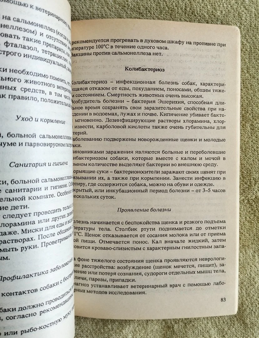 Для любимой собаки Анатолий Баранов - миниатюра 5