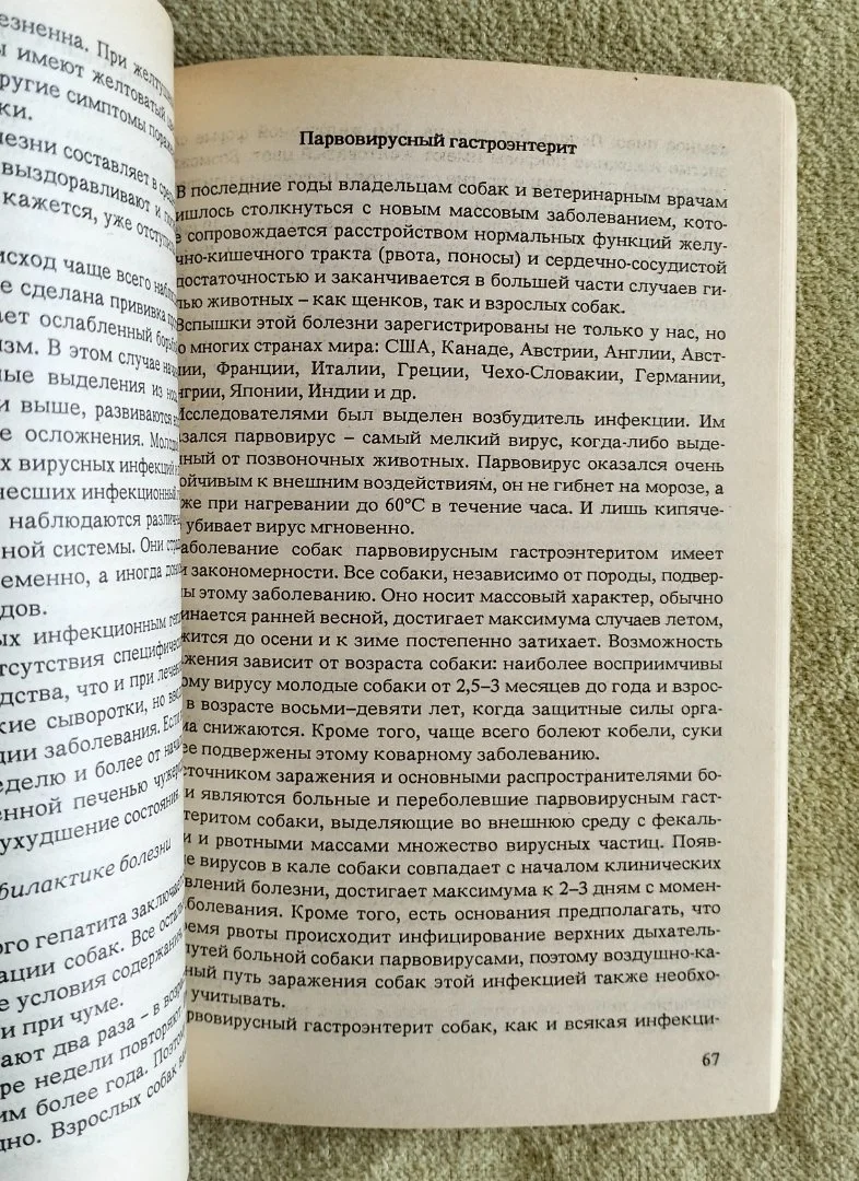 Для любимой собаки Анатолий Баранов - миниатюра 6