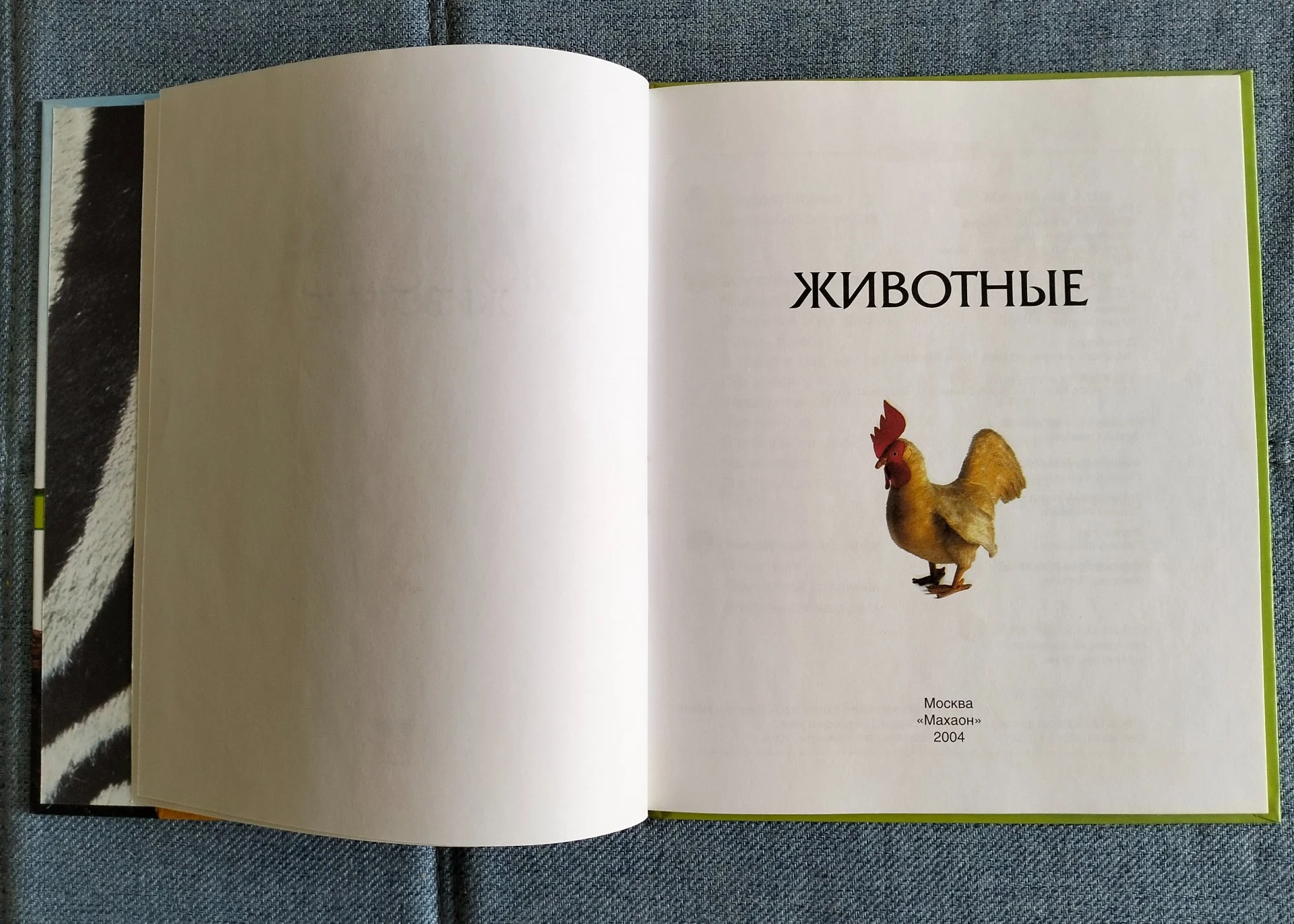 Познакомься, это... Животные Детская энциклопедия - миниатюра 2