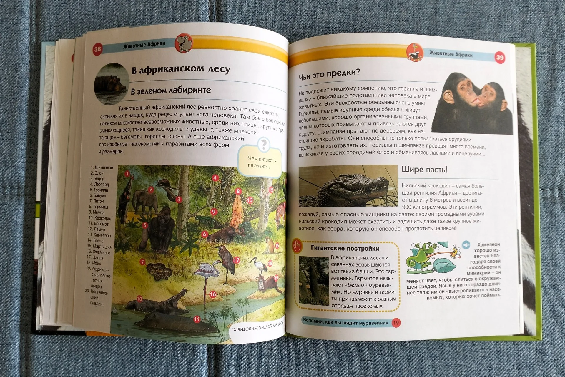 Познакомься, это... Животные Детская энциклопедия - миниатюра 7