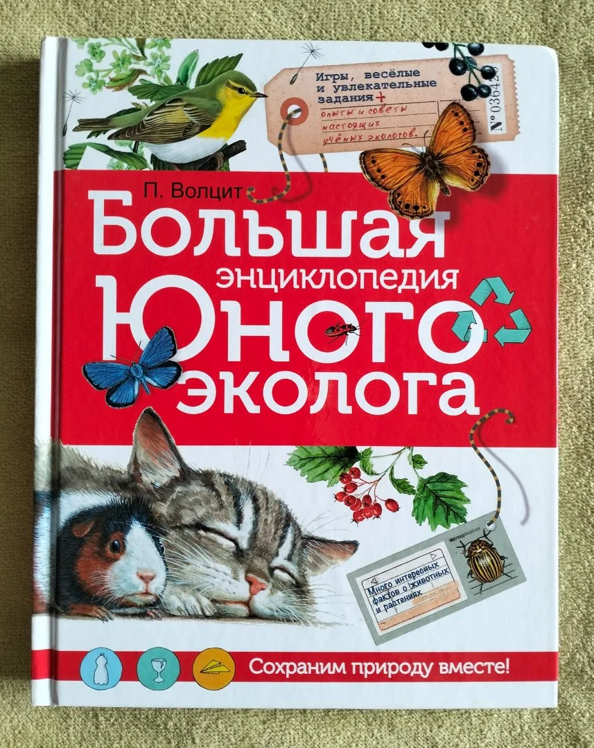 Большая энциклопедия юного эколога Волцит - изображение 1