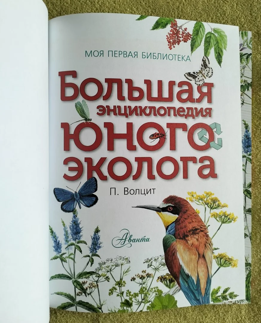 Большая энциклопедия юного эколога Волцит - миниатюра 2