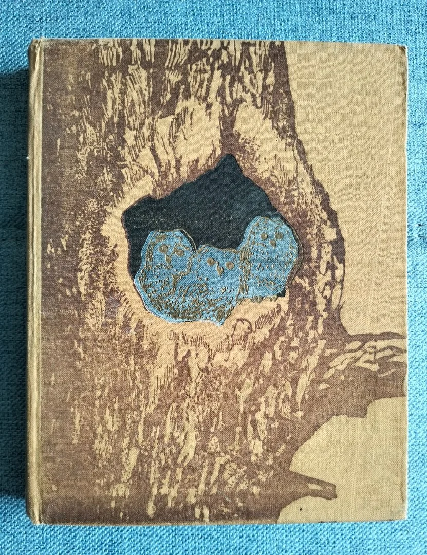 Книга Виталий Бианки Рассказы и сказки 1954 - изображение 1