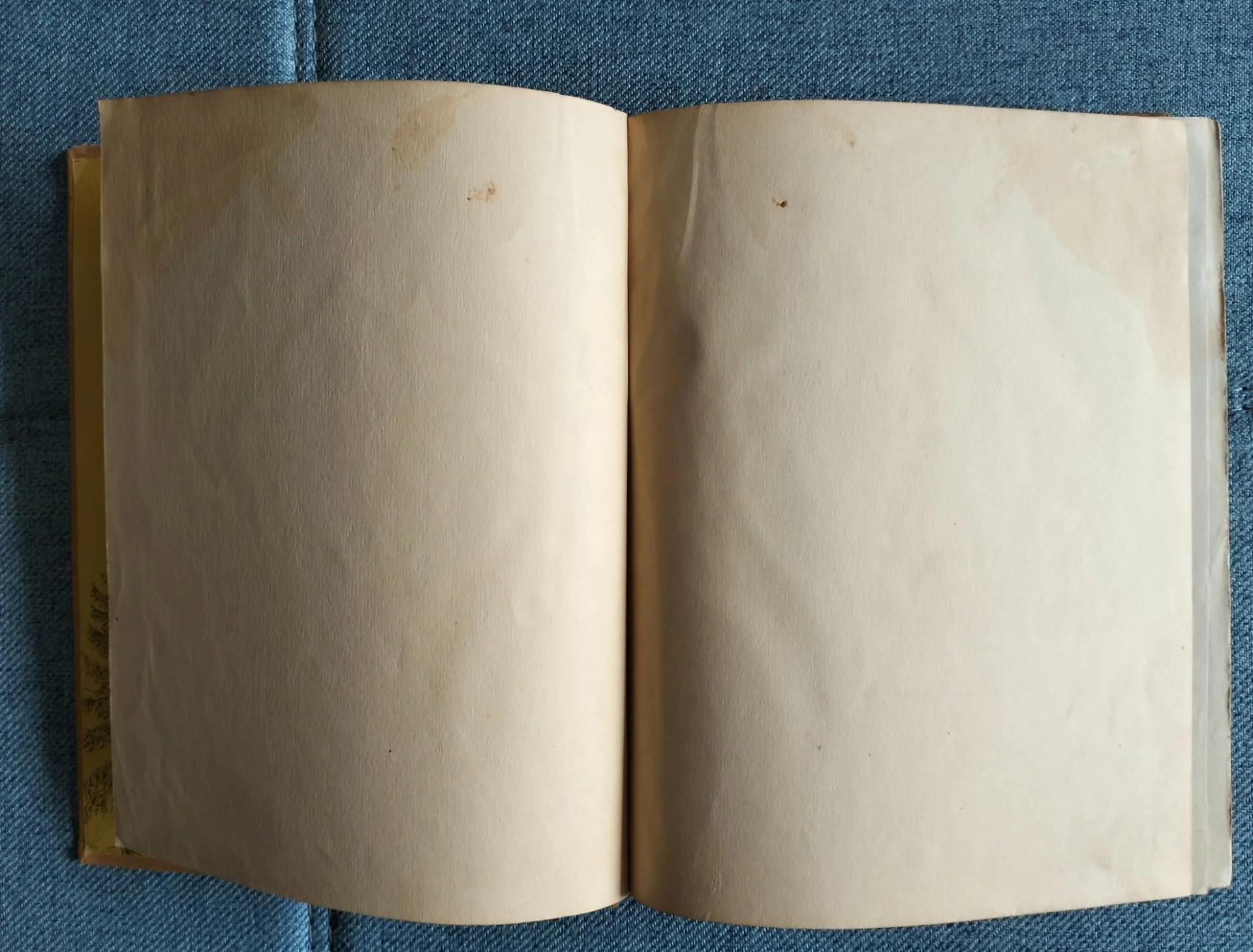 Книга Виталий Бианки Рассказы и сказки 1954 - миниатюра 2