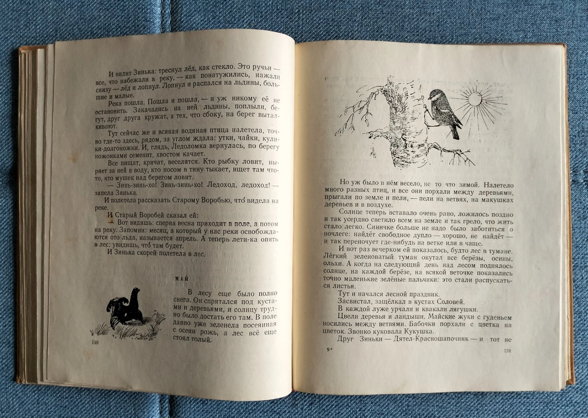 Книга Виталий Бианки Рассказы и сказки 1954 - миниатюра 7