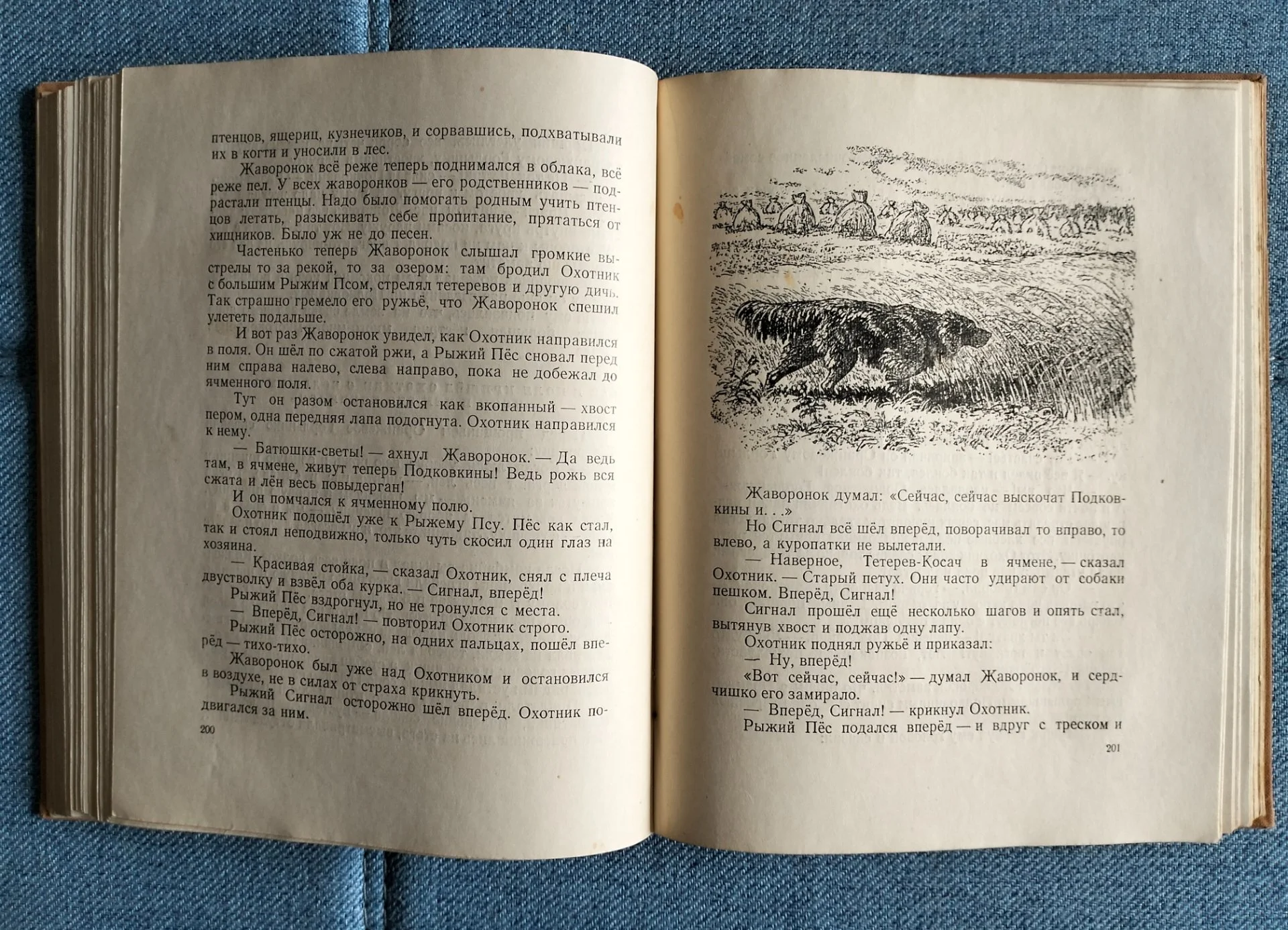 Книга Виталий Бианки Рассказы и сказки 1954 - миниатюра 10