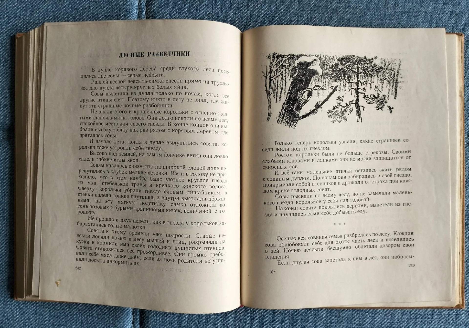 Книга Виталий Бианки Рассказы и сказки 1954 - миниатюра 11