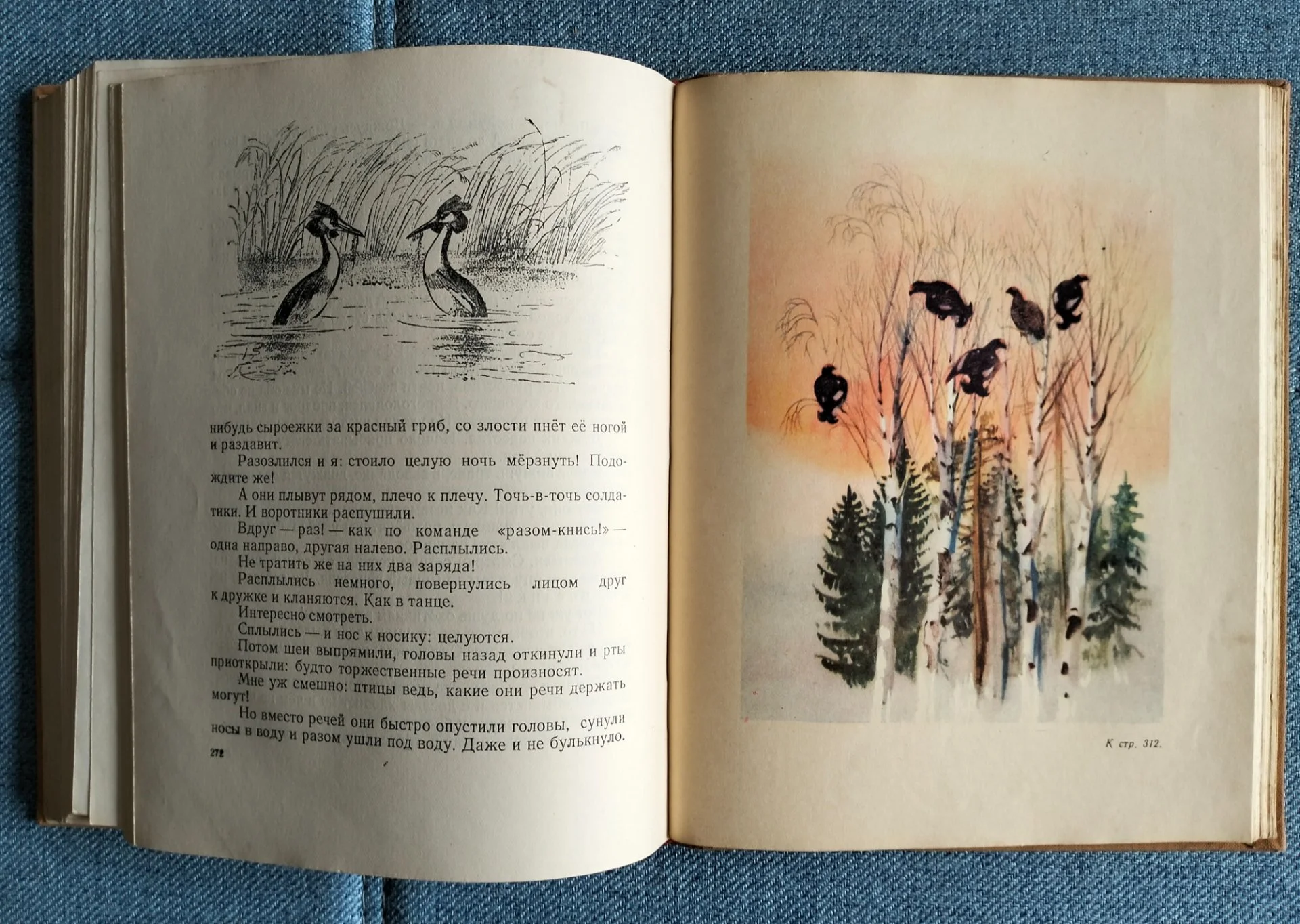 Книга Виталий Бианки Рассказы и сказки 1954 - миниатюра 12