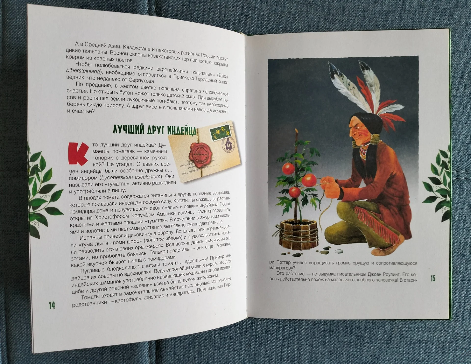 Книга Клад на подоконнике Ольга Кувыкина 2007 - миниатюра 4