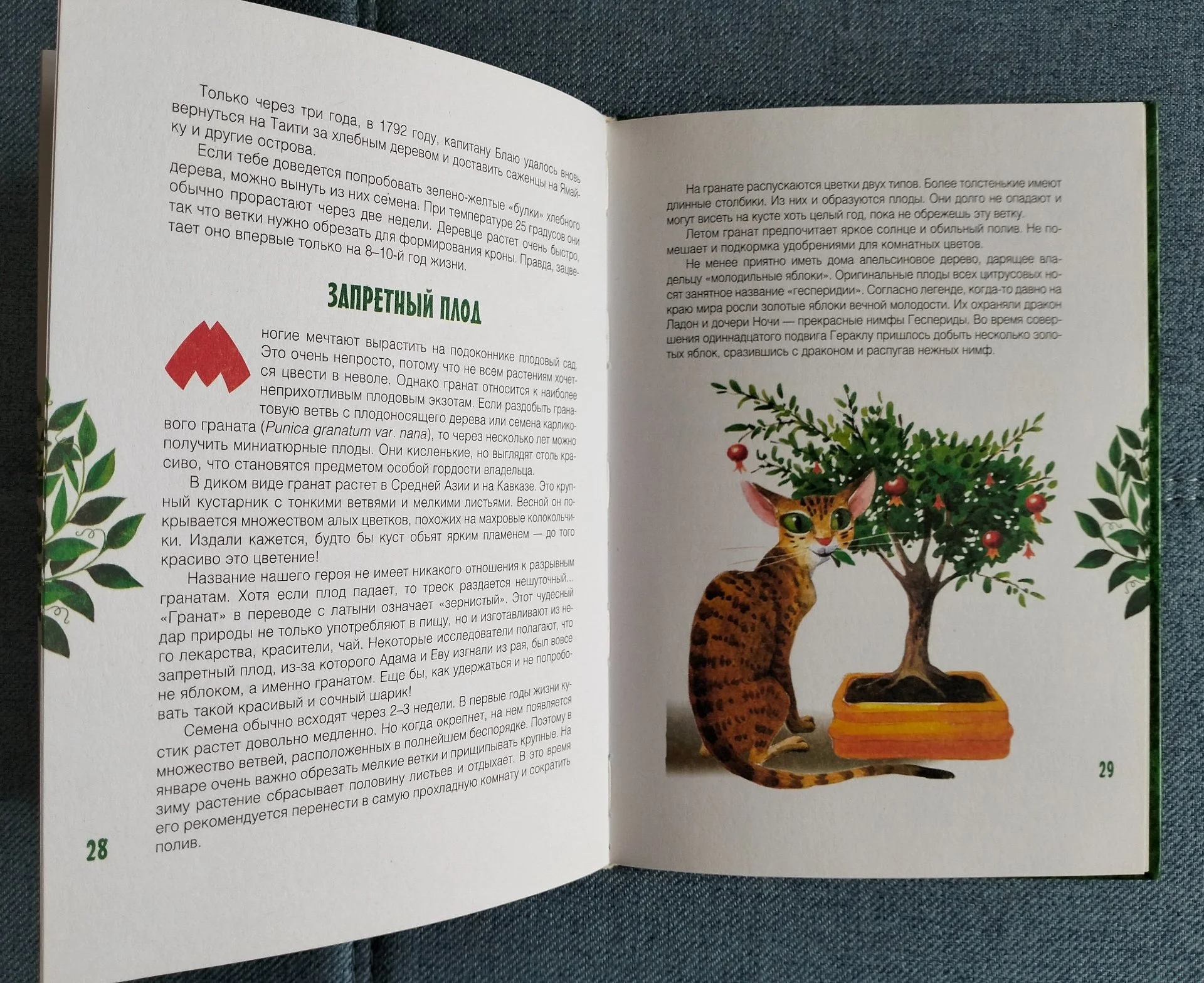 Книга Клад на подоконнике Ольга Кувыкина 2007 - миниатюра 5