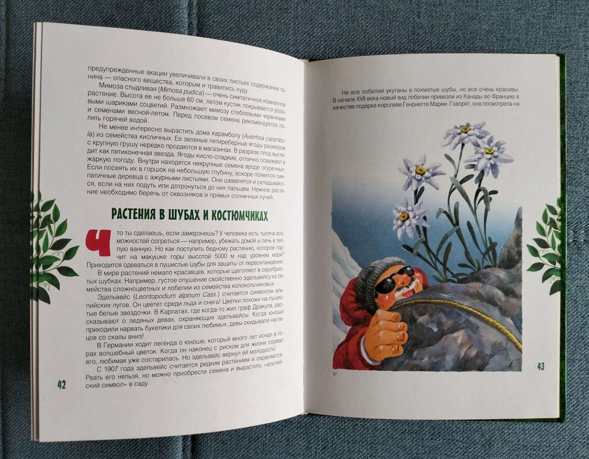 Книга Клад на подоконнике Ольга Кувыкина 2007 - миниатюра 6