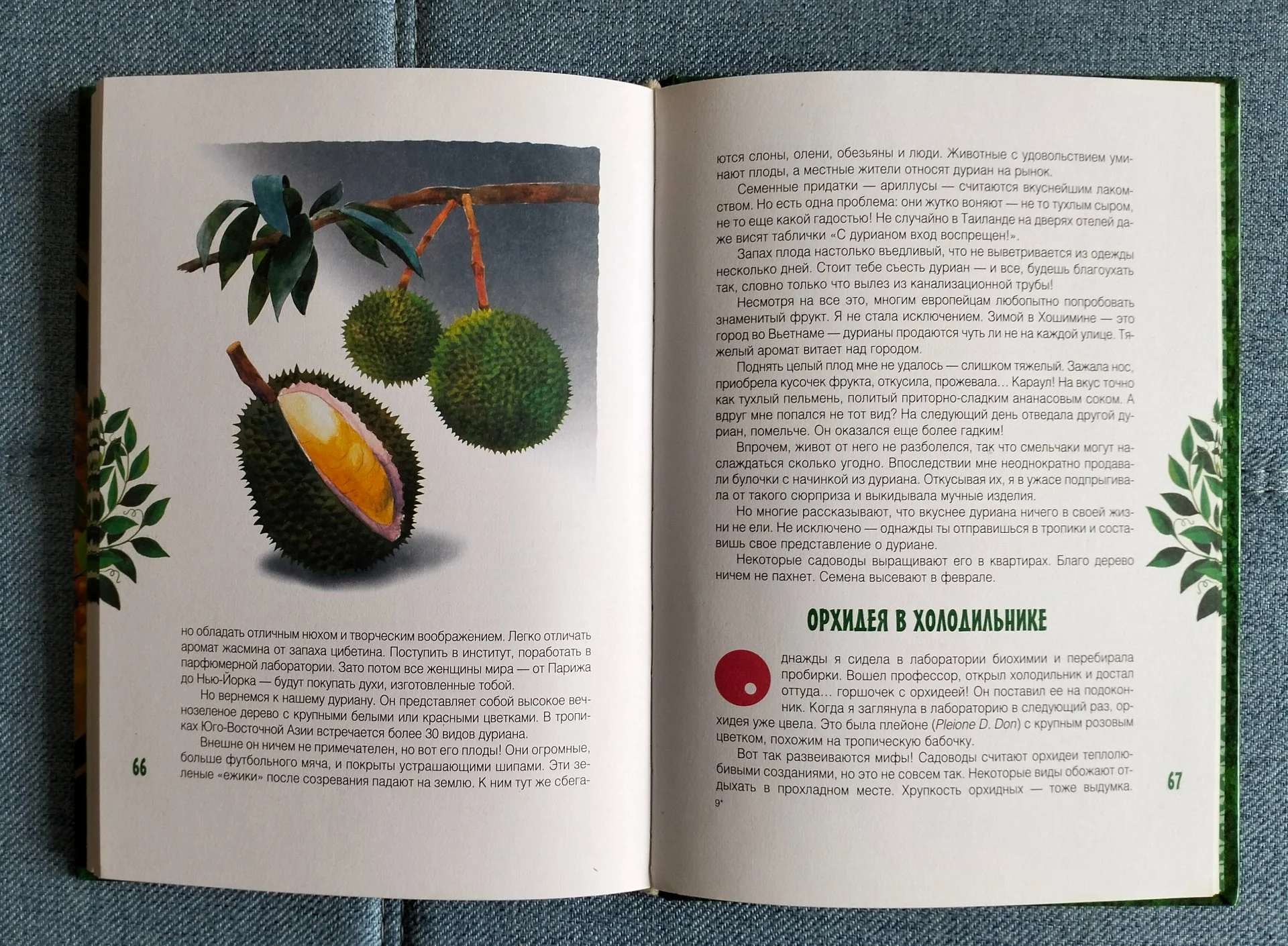 Книга Клад на подоконнике Ольга Кувыкина 2007 - миниатюра 7