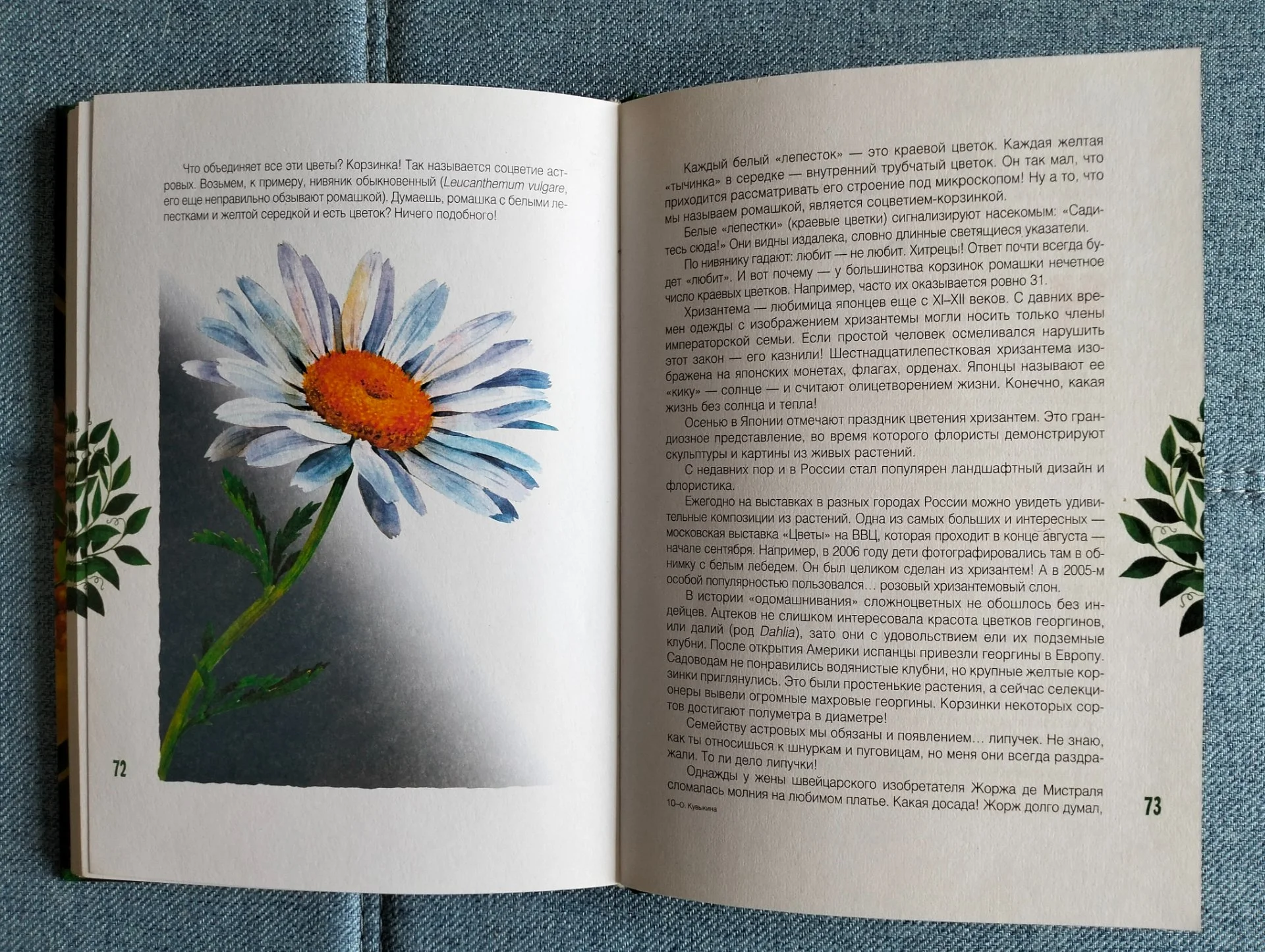 Книга Клад на подоконнике Ольга Кувыкина 2007 - миниатюра 8