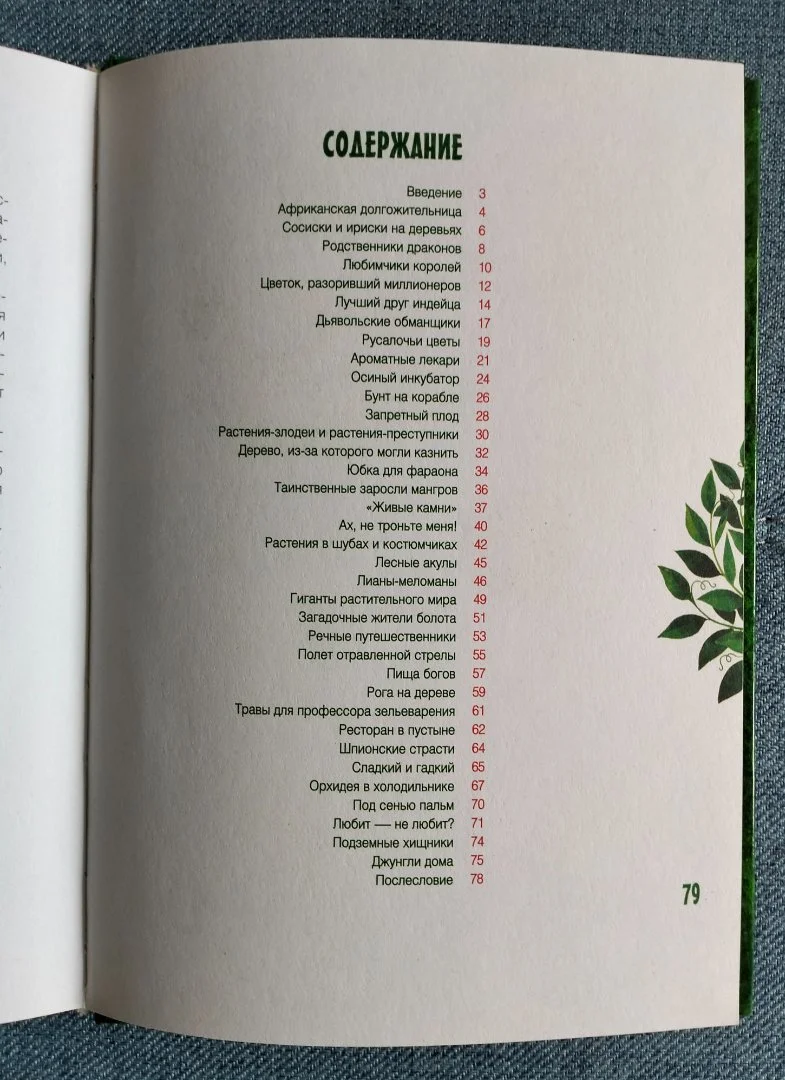 Книга Клад на подоконнике Ольга Кувыкина 2007 - миниатюра 9