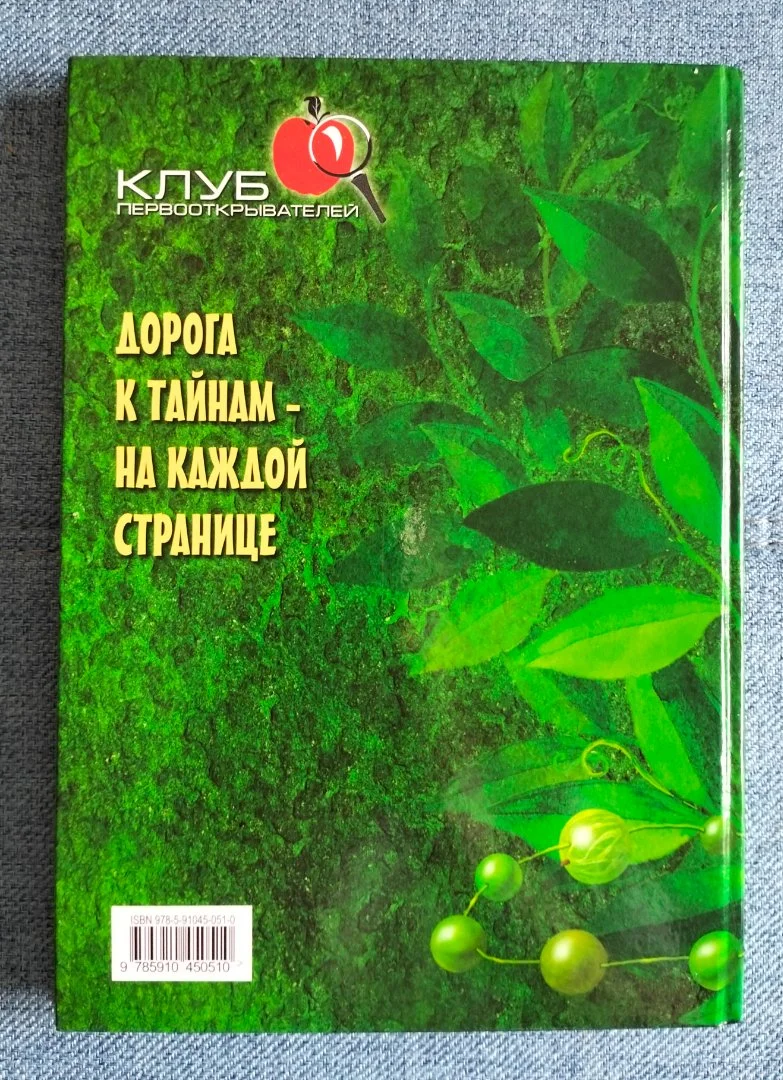 Книга Клад на подоконнике Ольга Кувыкина 2007 - миниатюра 10