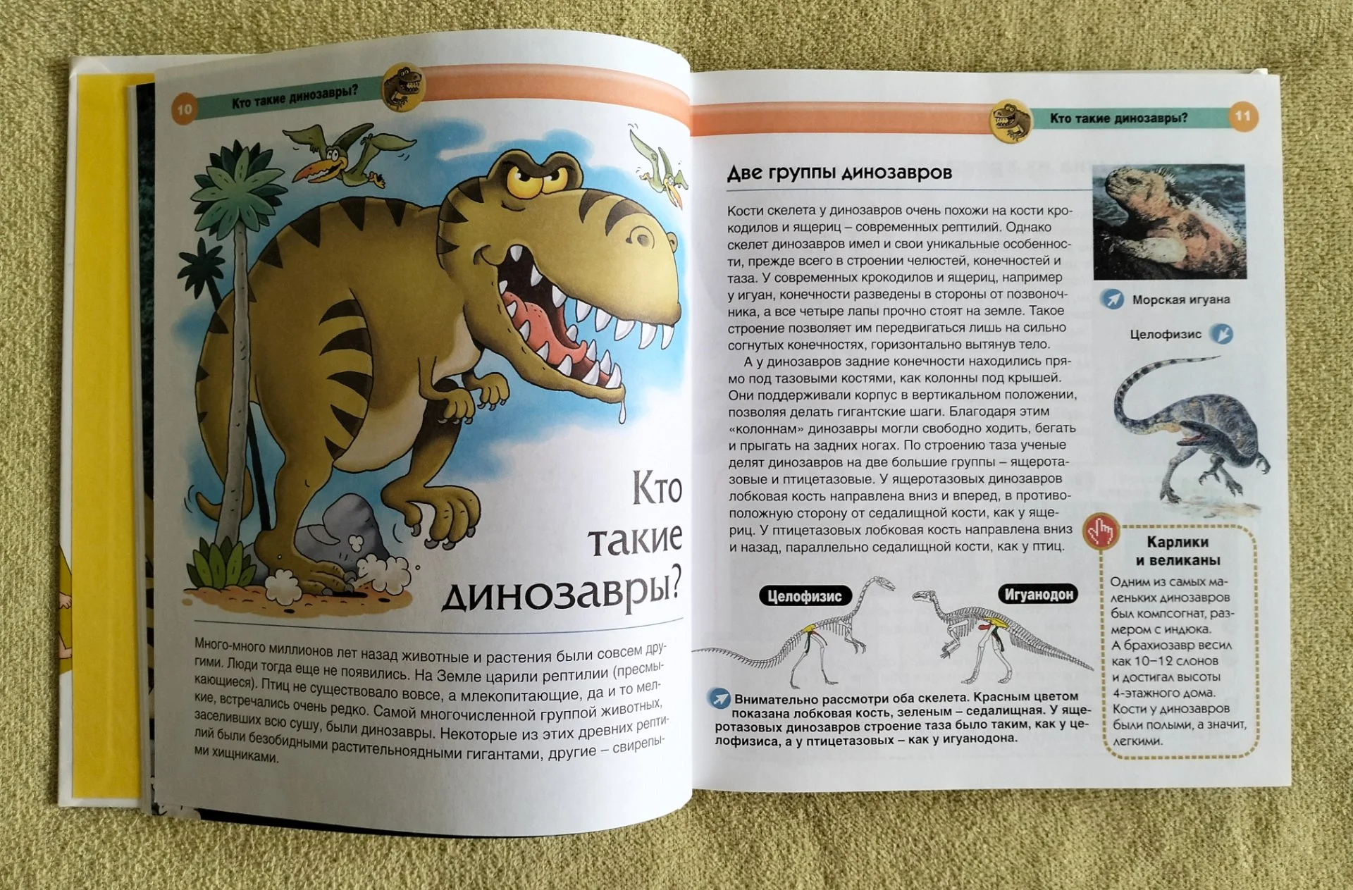 Современная детская энциклопедия Махаон 2010 - миниатюра 4