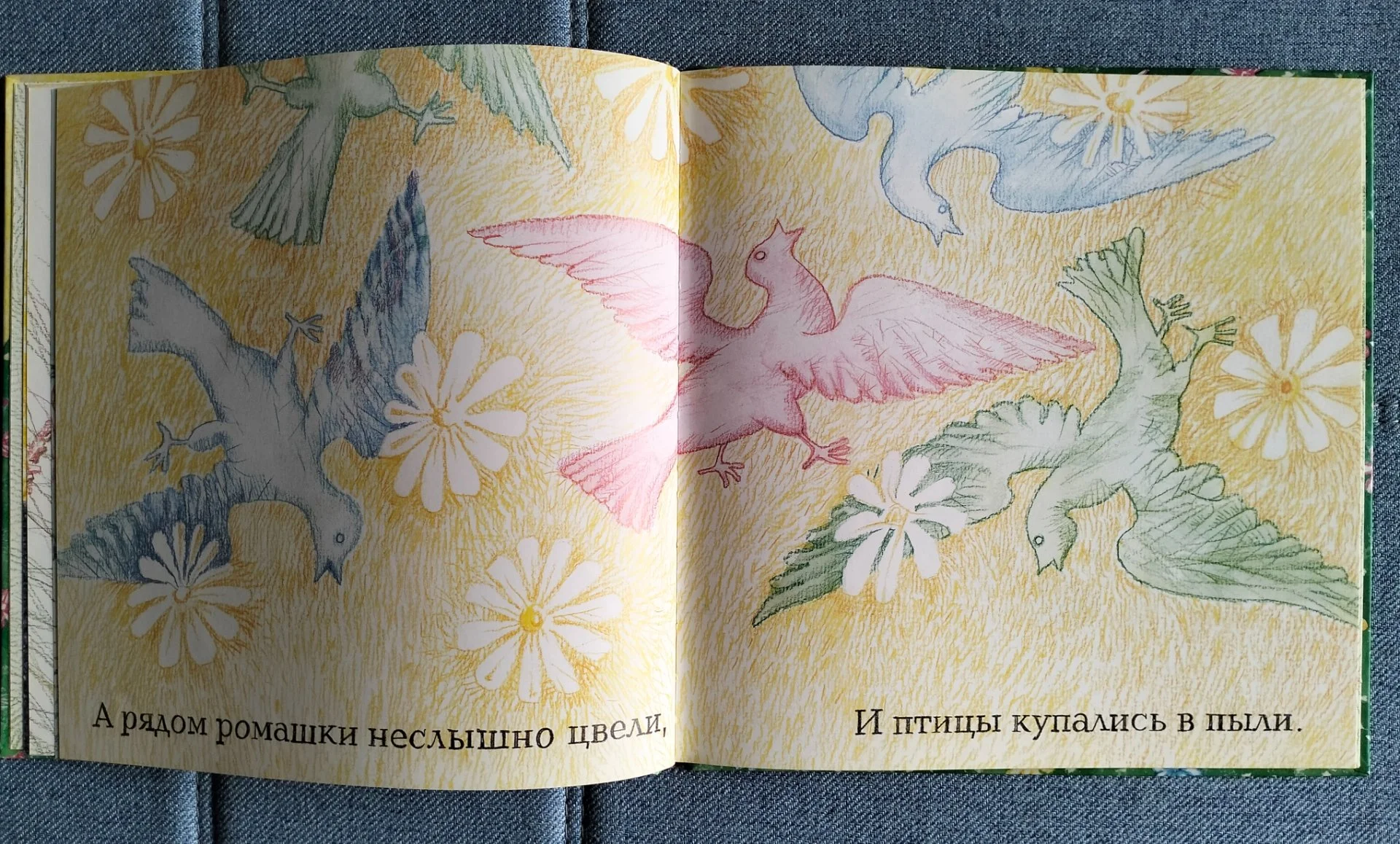 Енот и бабочка, Коняшов иллюстрации Перевезенцев 2001 - миниатюра 4