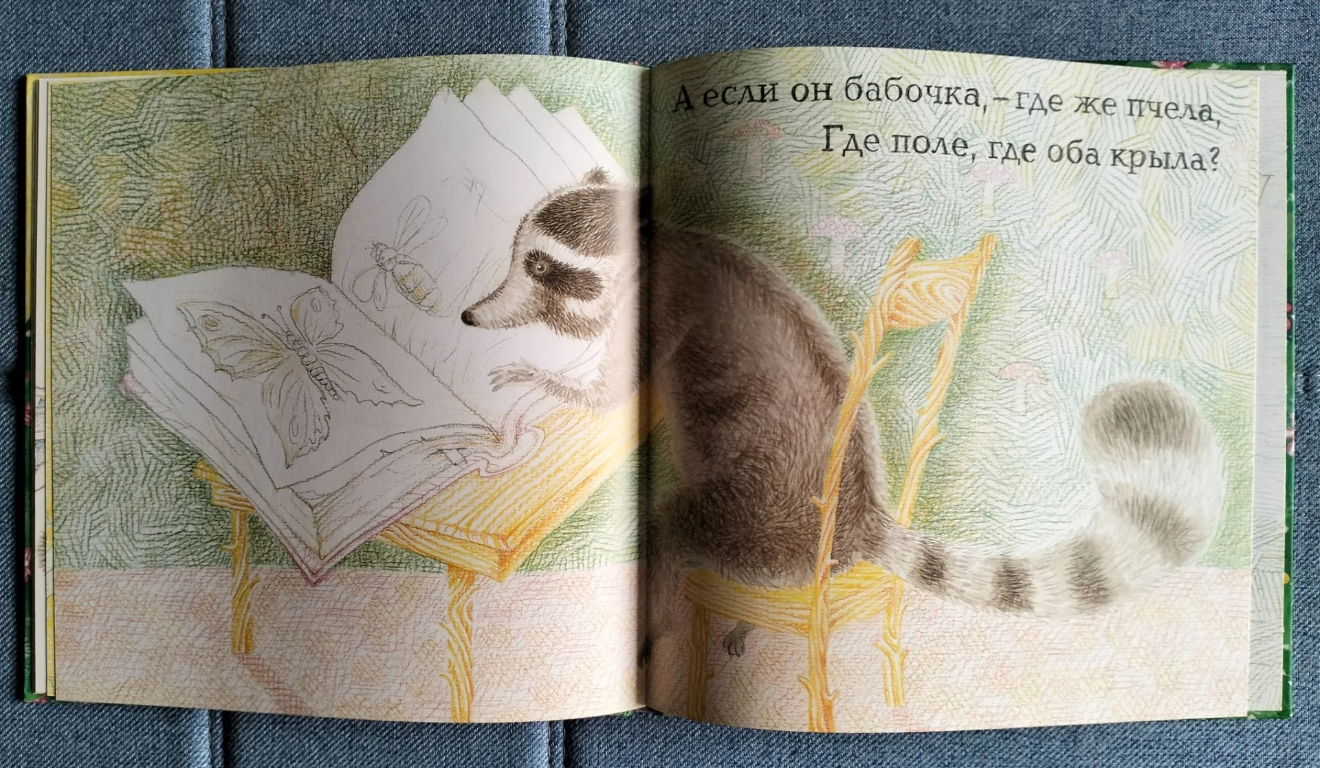 Енот и бабочка, Коняшов иллюстрации Перевезенцев 2001 - миниатюра 6