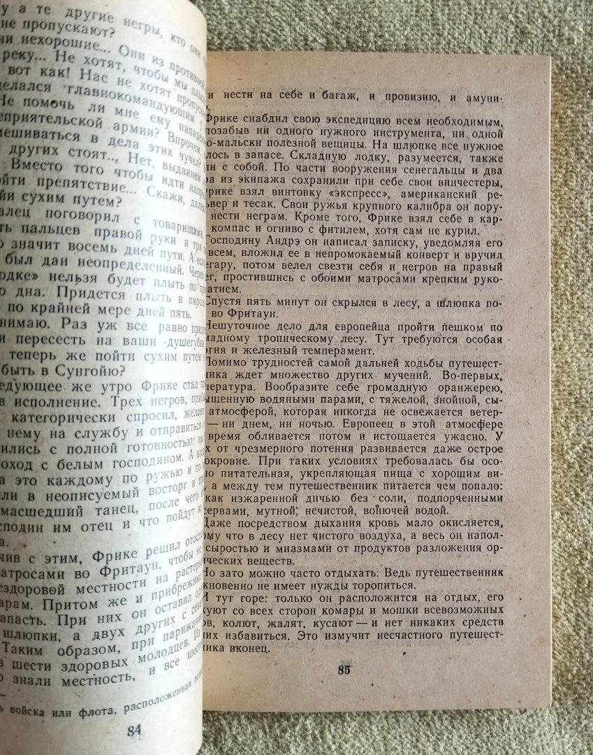 Приключения в стране львов тигров бизонов Луи Буссенар - миниатюра 3