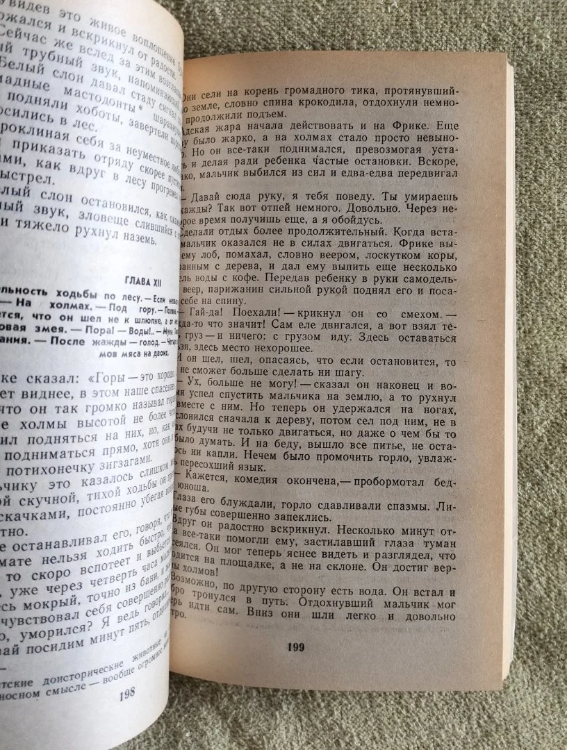 Приключения в стране львов тигров бизонов Луи Буссенар - миниатюра 5