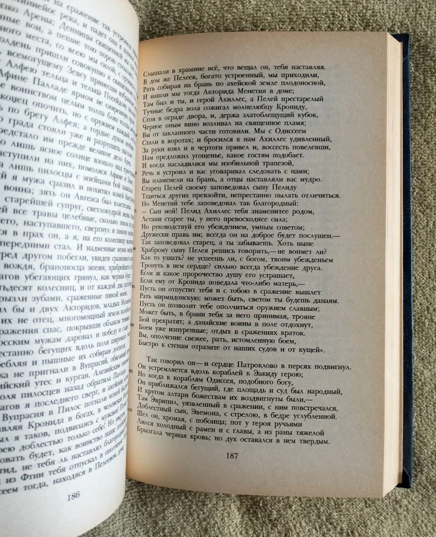 Илиада Гомер 1985 - миниатюра 4