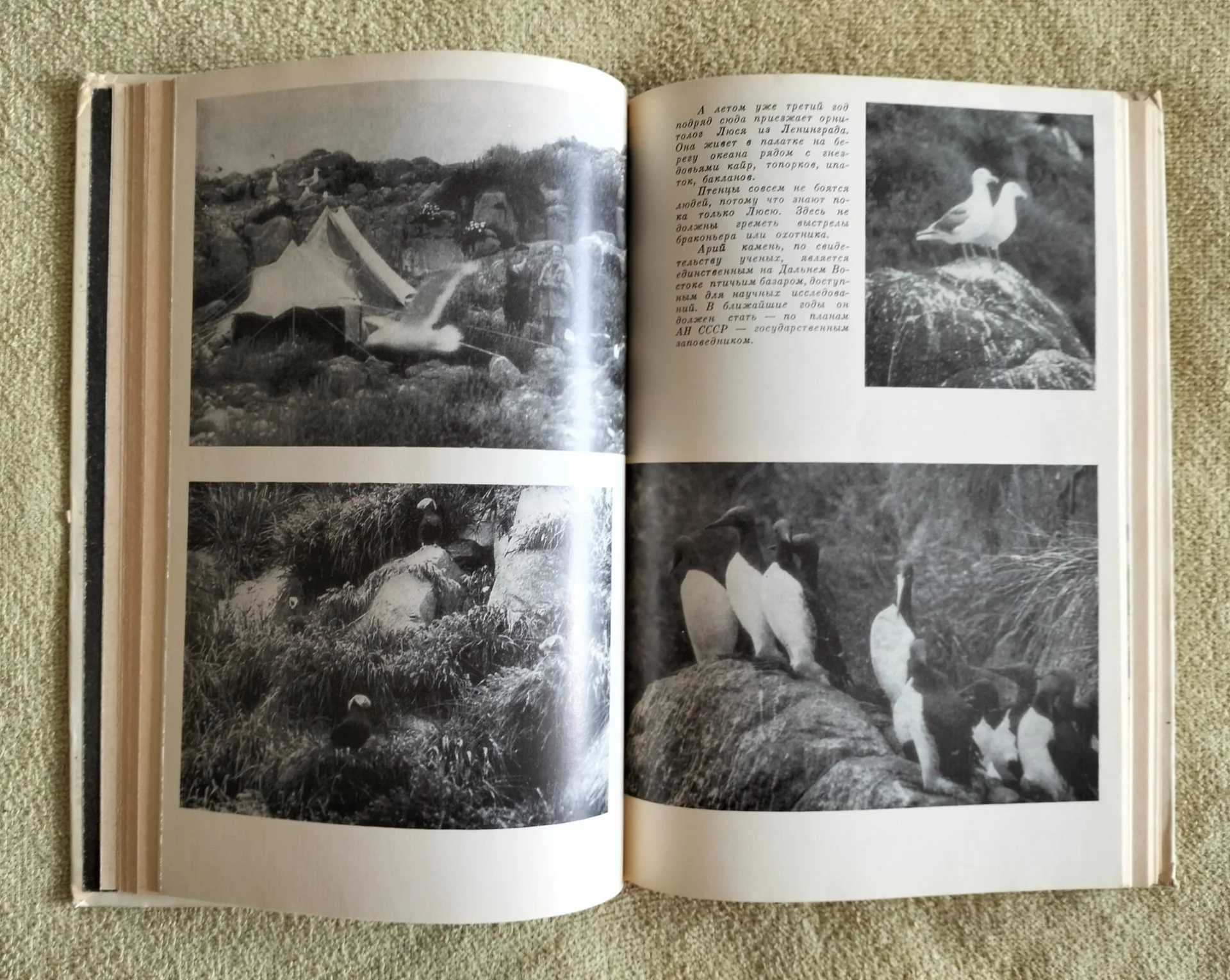 Бригантина 1973 сборник Молодая гвардия СССР - миниатюра 7