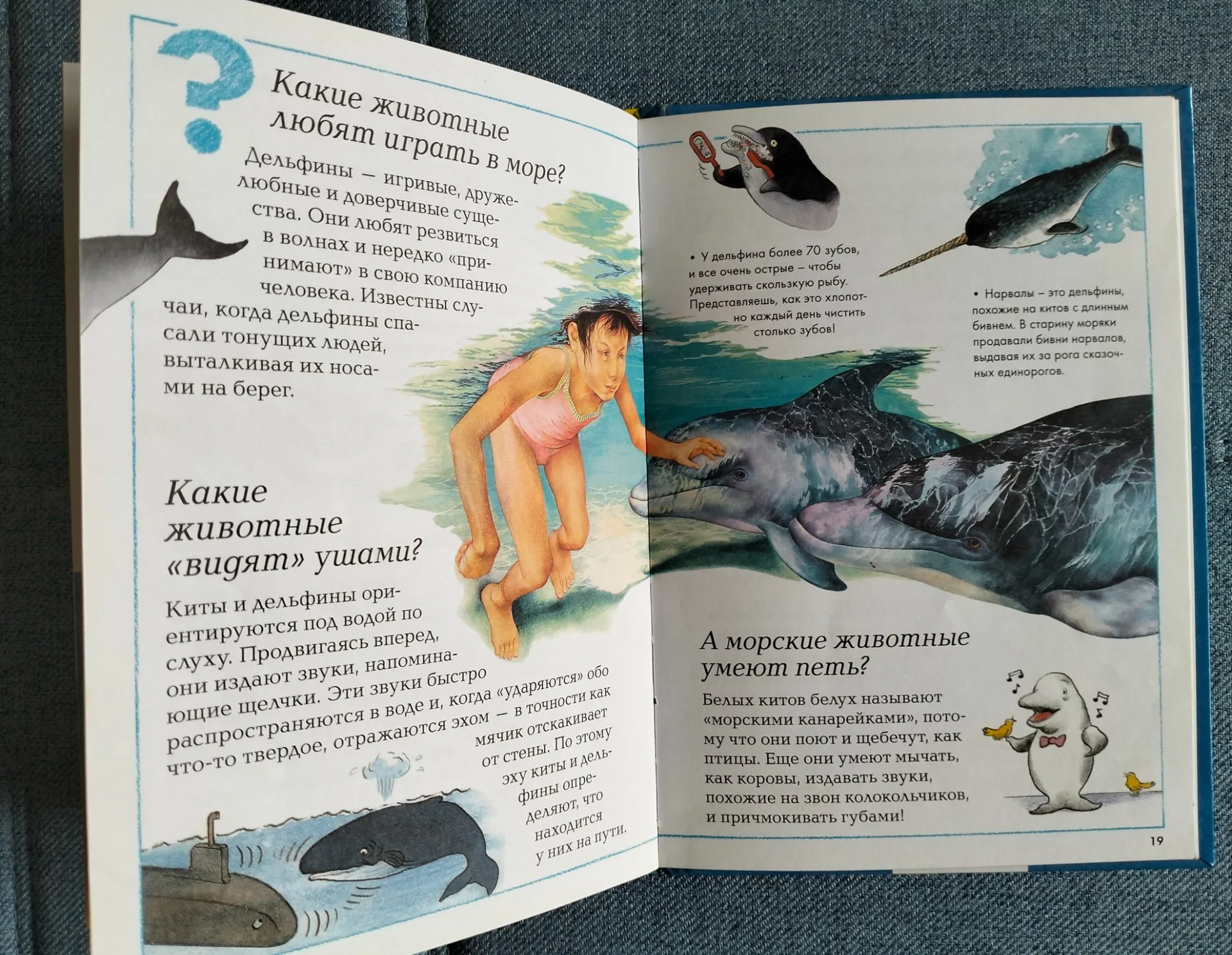 Моря и океаны энциклопедия для умников и умниц Махаон - миниатюра 5