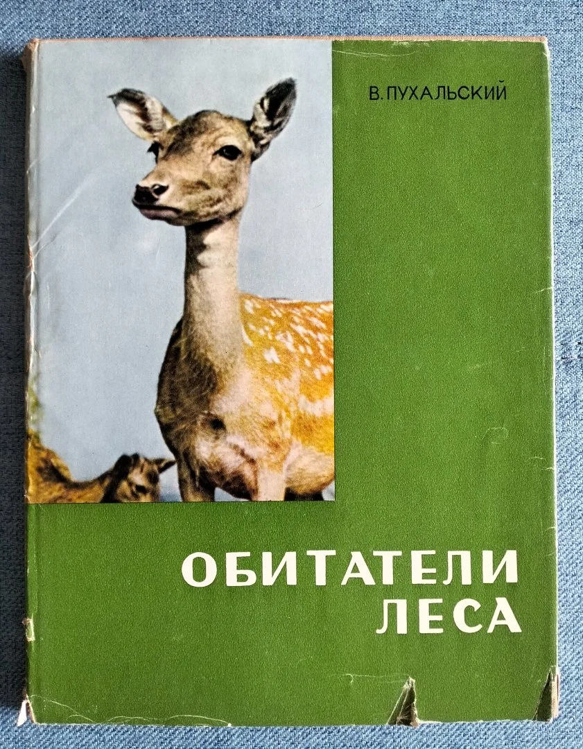 Обитатели леса Пухальский фотоальбом Варшава - изображение 1