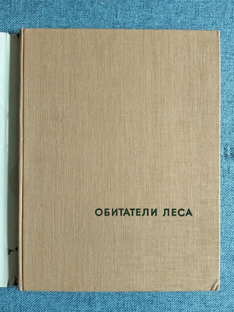 Обитатели леса Пухальский фотоальбом Варшава - миниатюра 2