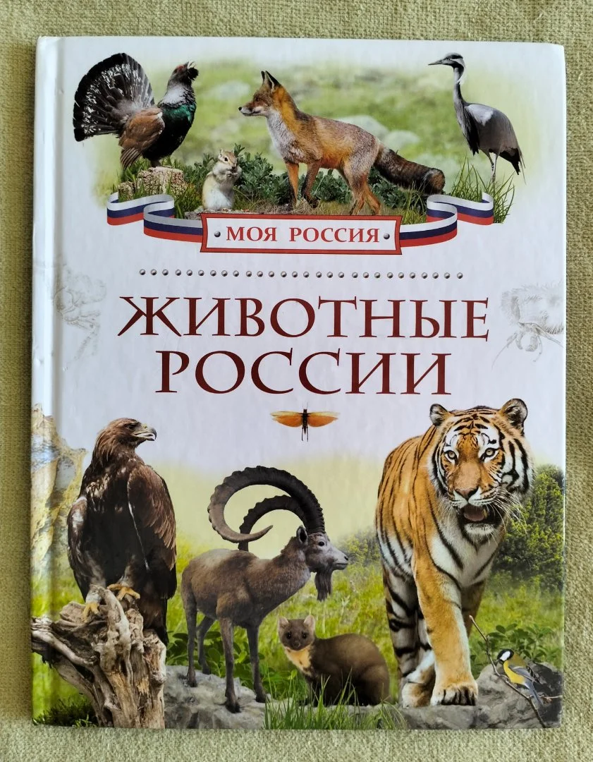 Животные России детская энциклопедия Росмэн 2015 - изображение 1