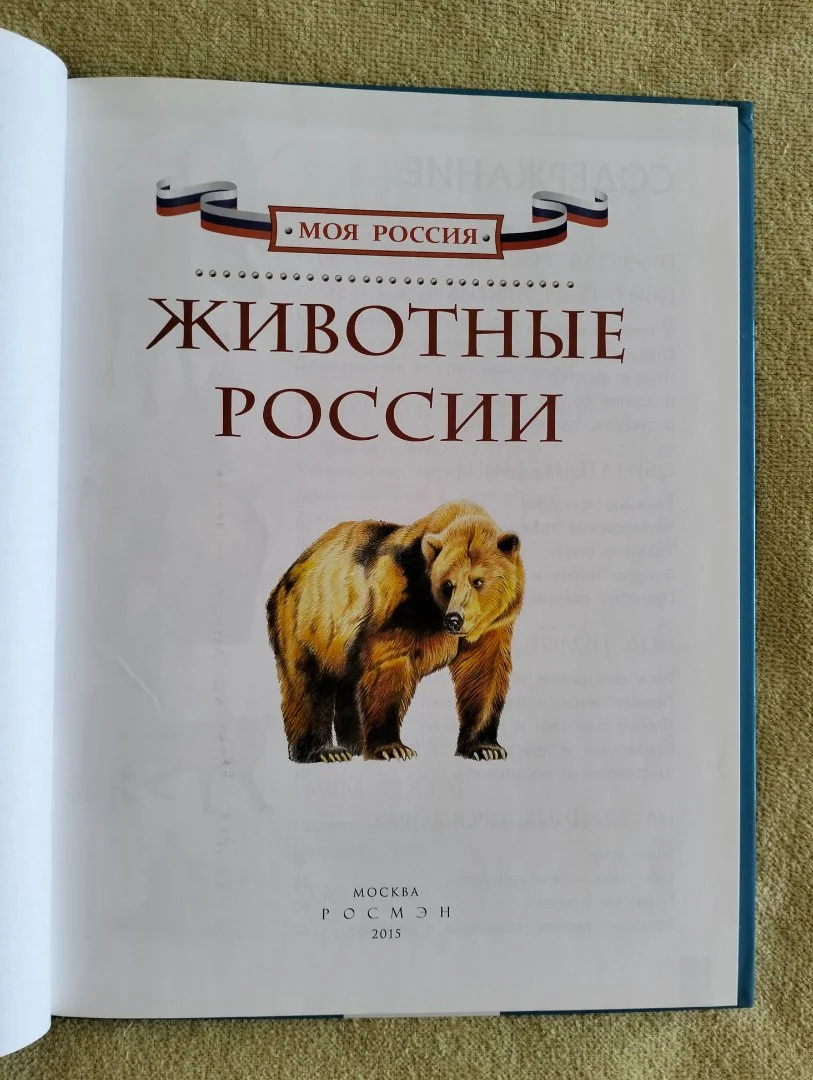 Животные России детская энциклопедия Росмэн 2015 - миниатюра 2