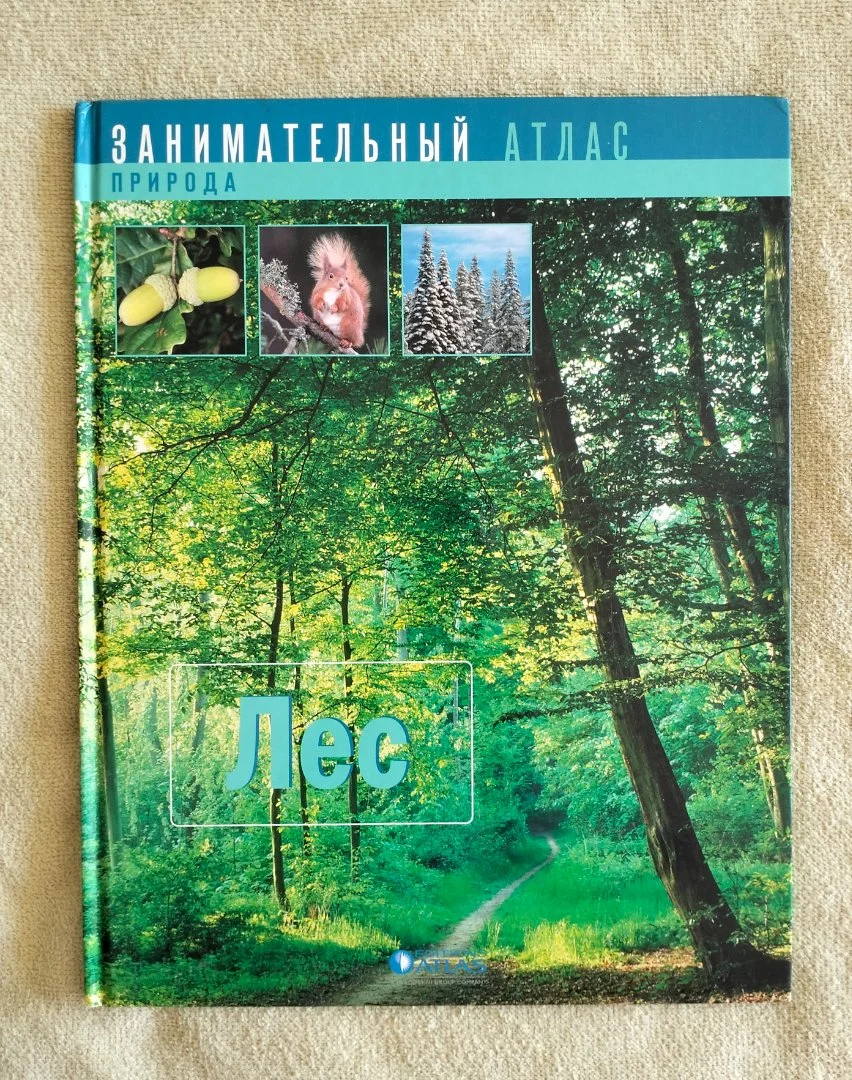Детская книга Лес Занимательный атлас Природа 2007 - изображение 1