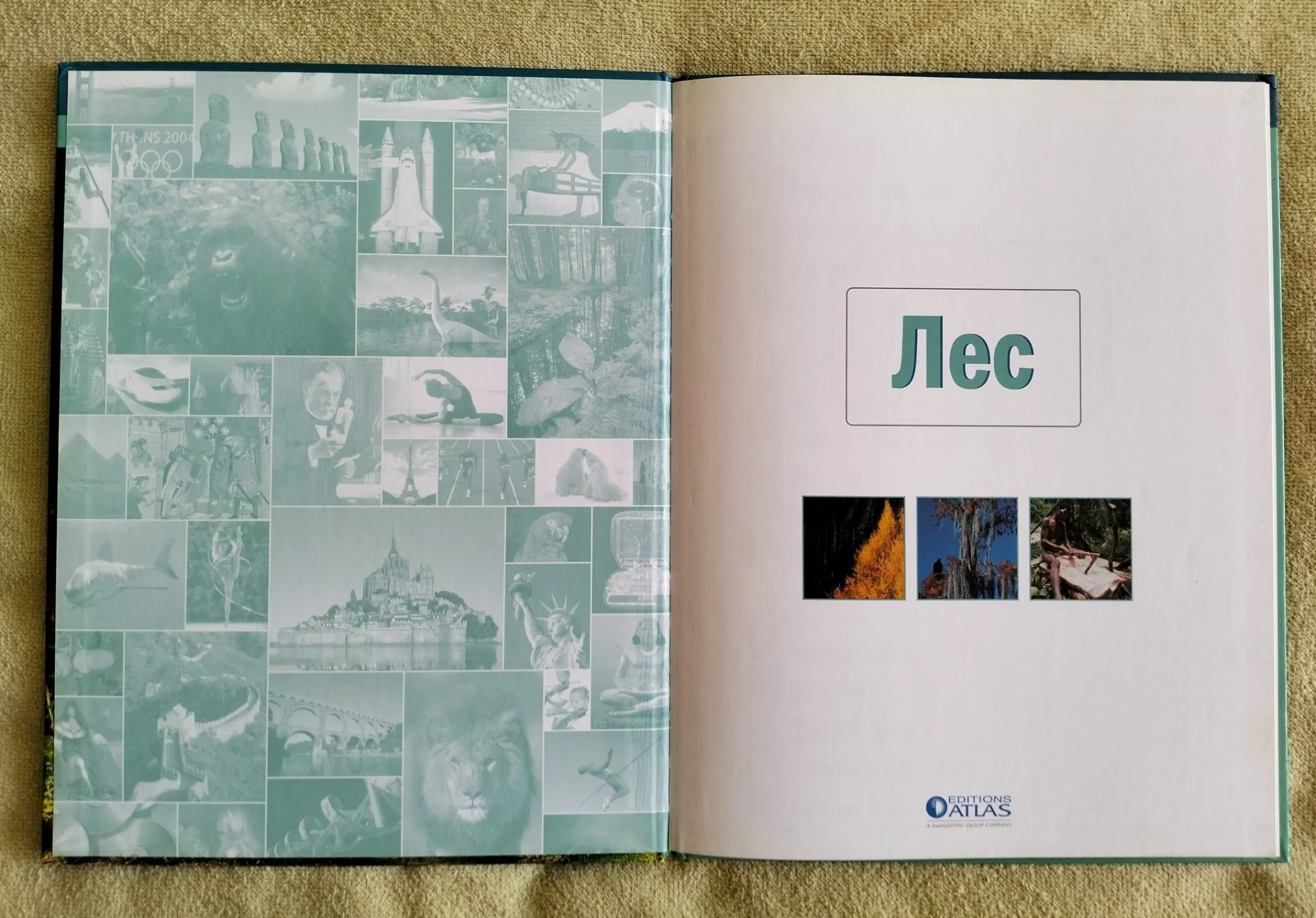 Детская книга Лес Занимательный атлас Природа 2007 - миниатюра 2