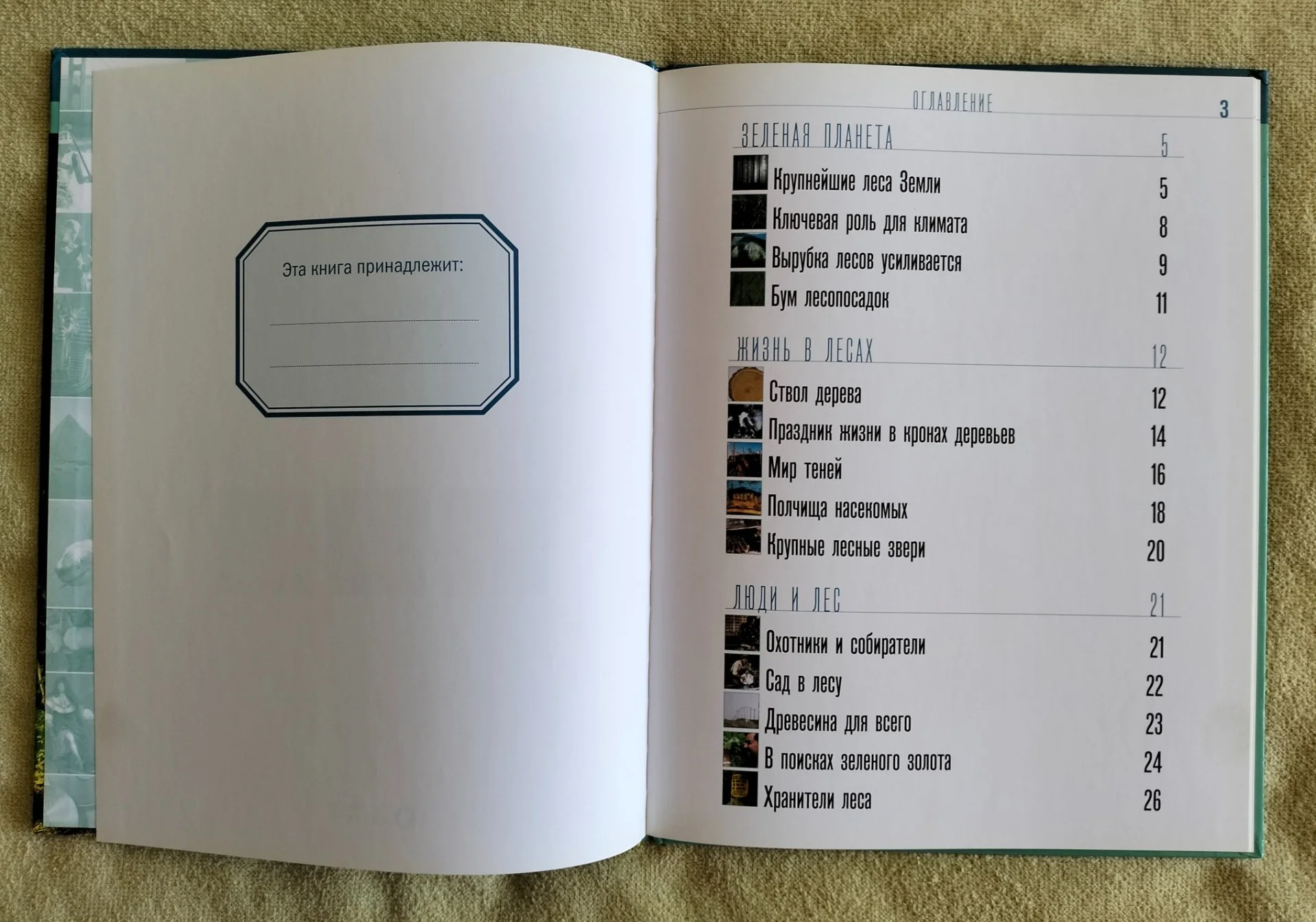 Детская книга Лес Занимательный атлас Природа 2007 - миниатюра 3