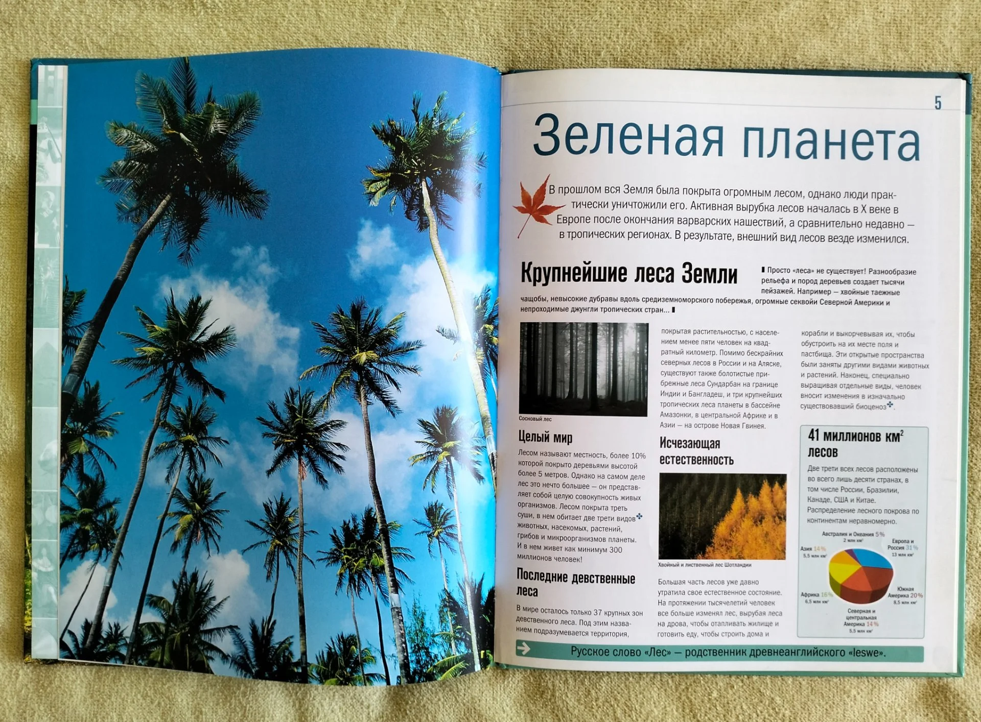 Детская книга Лес Занимательный атлас Природа 2007 - миниатюра 4