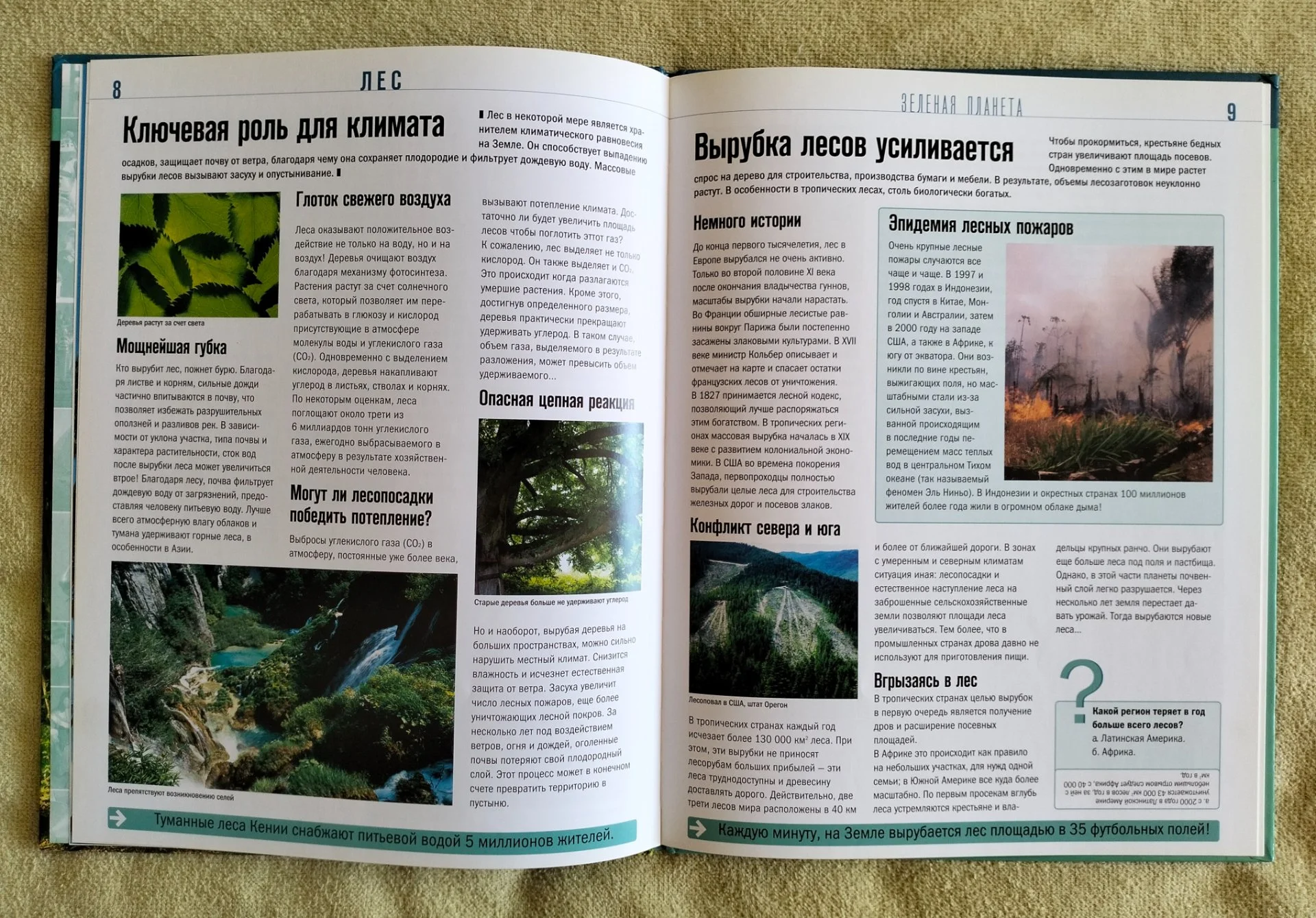 Детская книга Лес Занимательный атлас Природа 2007 - миниатюра 5